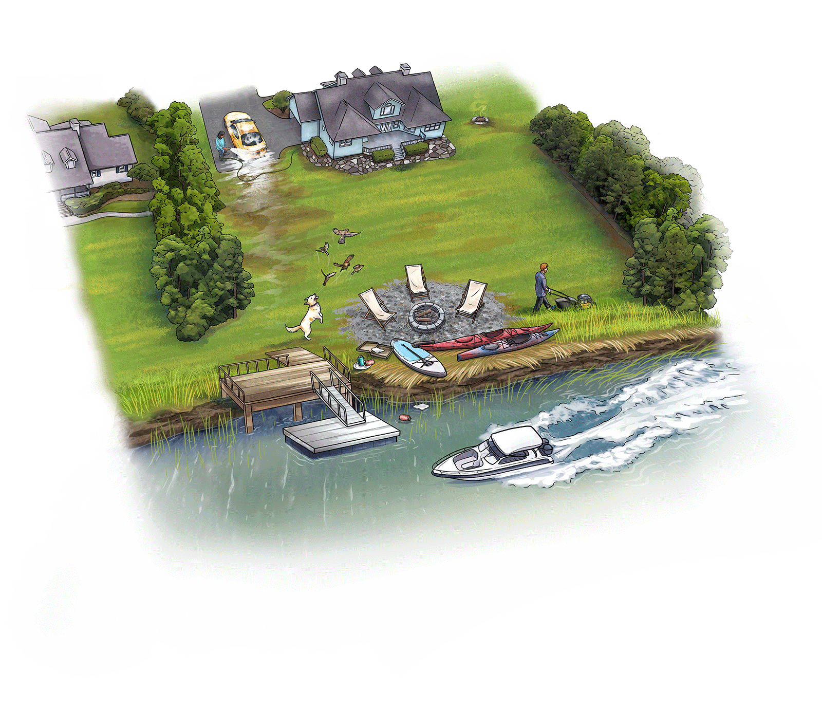    Caring for Our Marshes: Best Backyard Practices  , sequential illustrations contracted by and for the  New Hampshire Department of Environmental Services Coastal Program  and the Great Bay National Estuarine Research Reserve. 