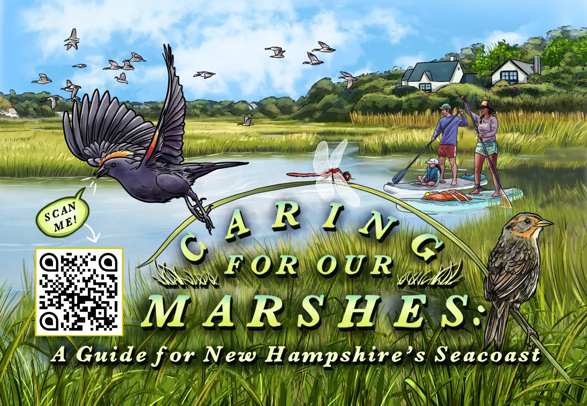    Caring for Our Marshes  , postcard illustration and design contracted by and for the  New Hampshire Department of Environmental Services Coastal Program  and the Great Bay National Estuarine Research Reserve. 