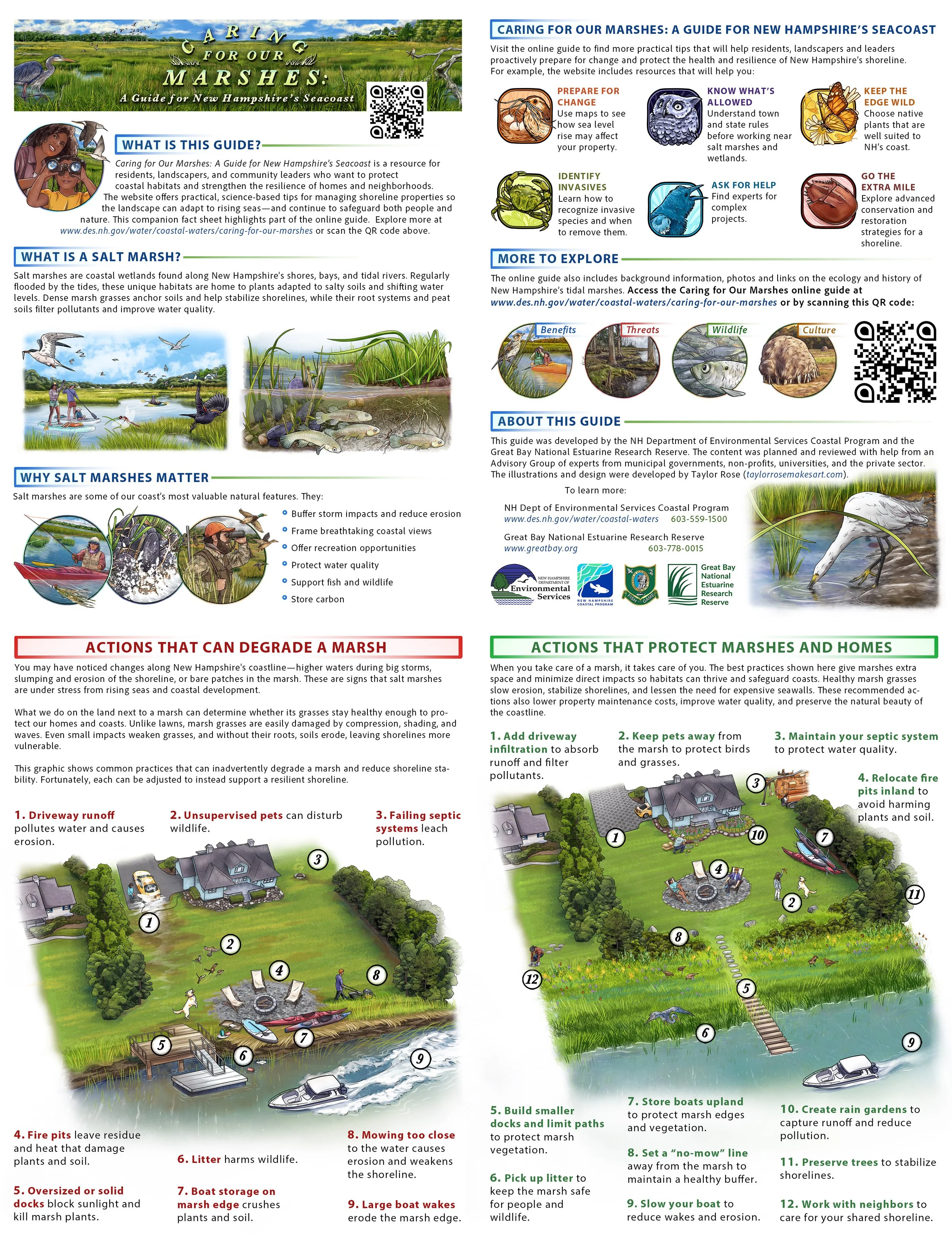    Caring for Our Marshes  , 4 page illustration and design brochure contracted by and for the  New Hampshire Department of Environmental Services Coastal Program  and the Great Bay National Estuarine Research Reserve. 