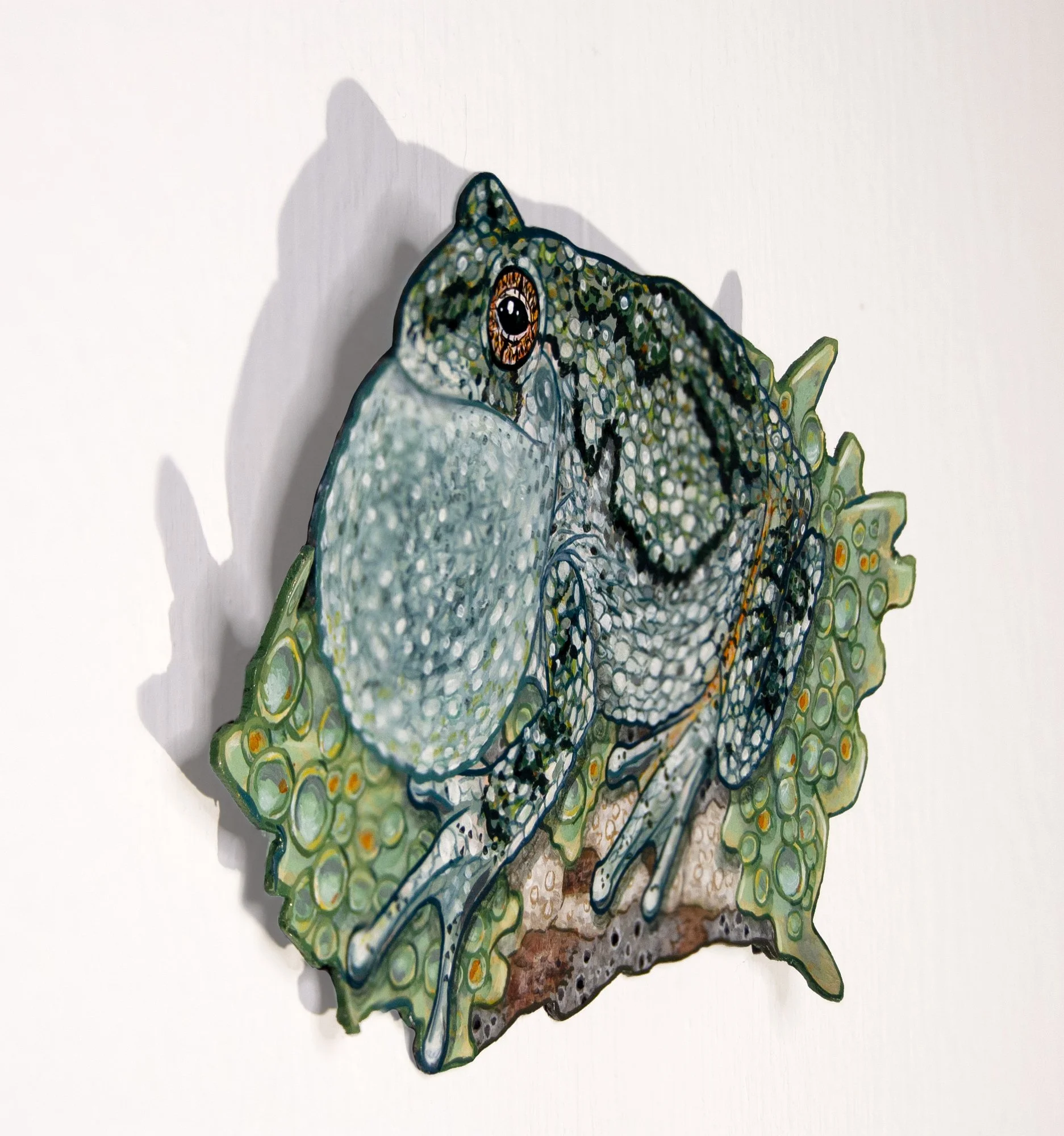 Taylor Rose - Gray Treefrog and Starburst Lichen2.jpg