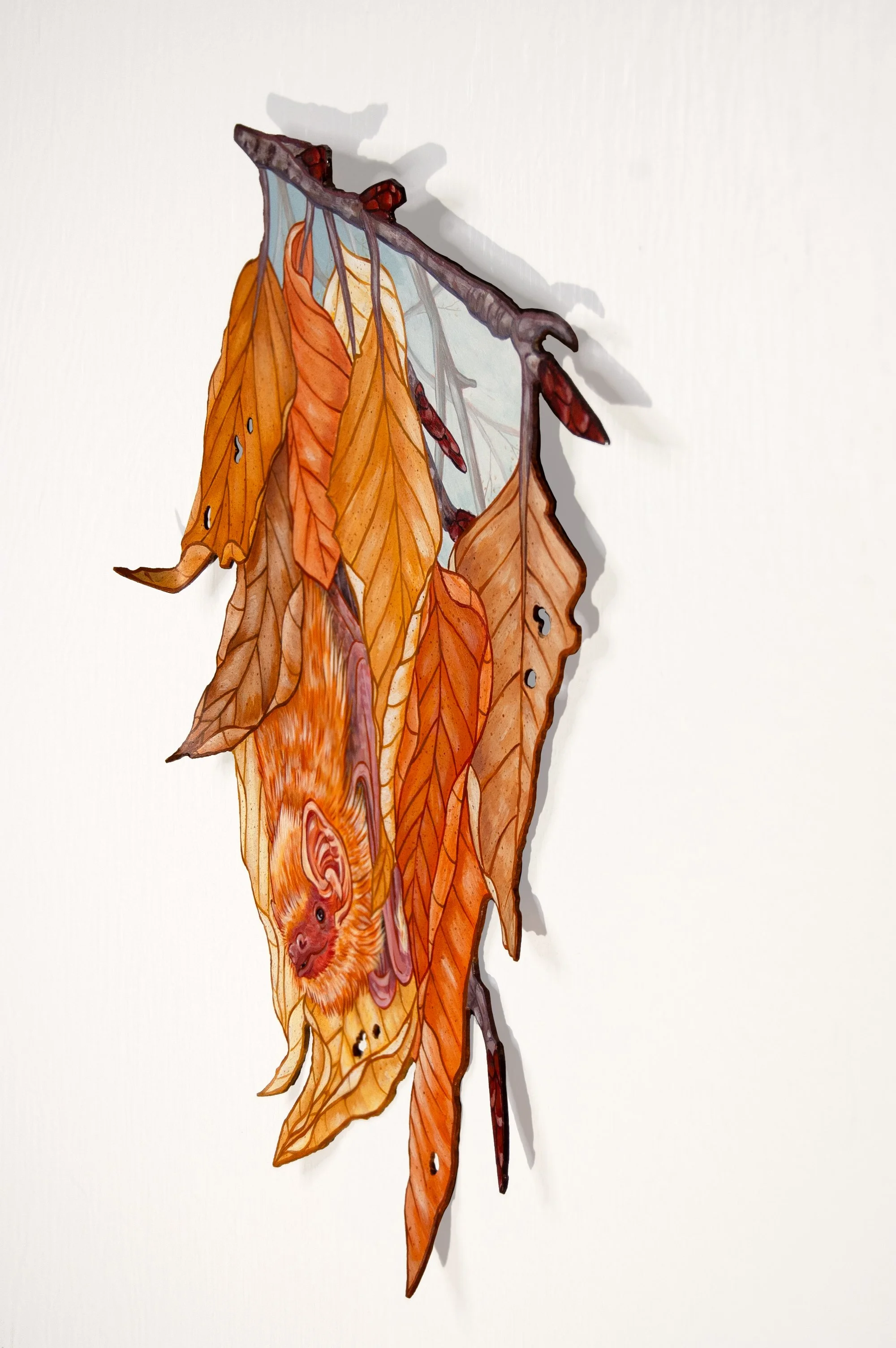 Taylor Rose - Eastern Red Bat and Beech2.jpg