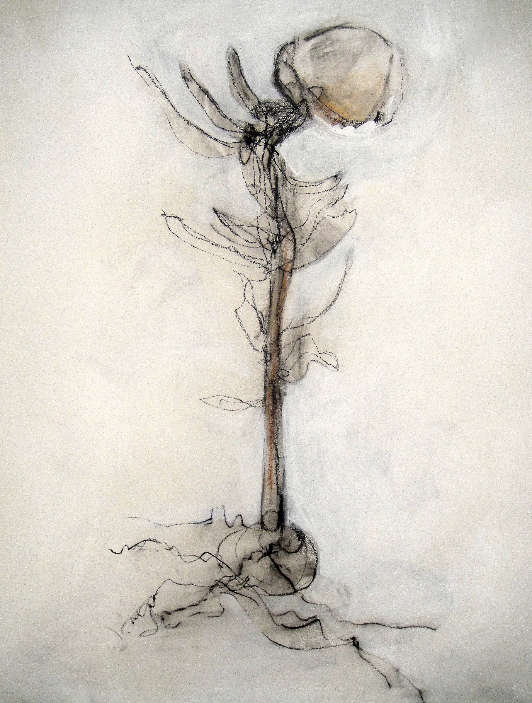 flower gesture 4