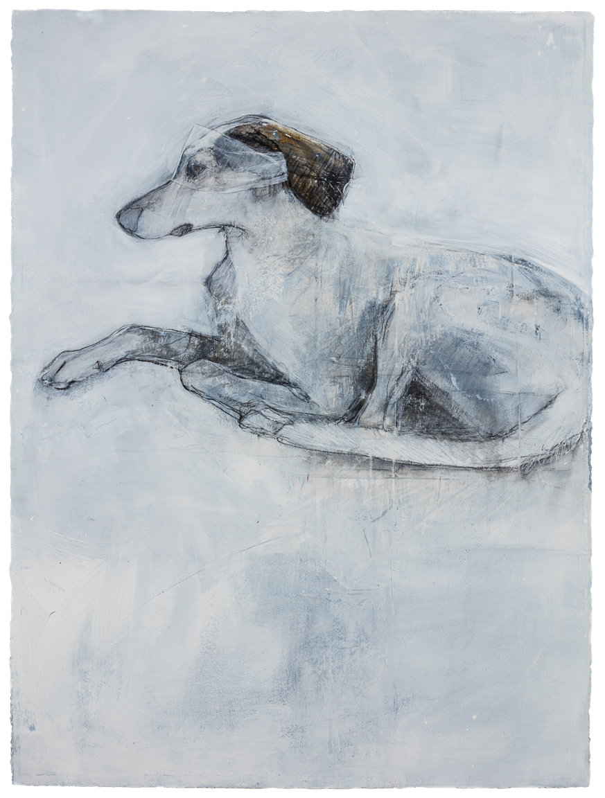tica no. 1