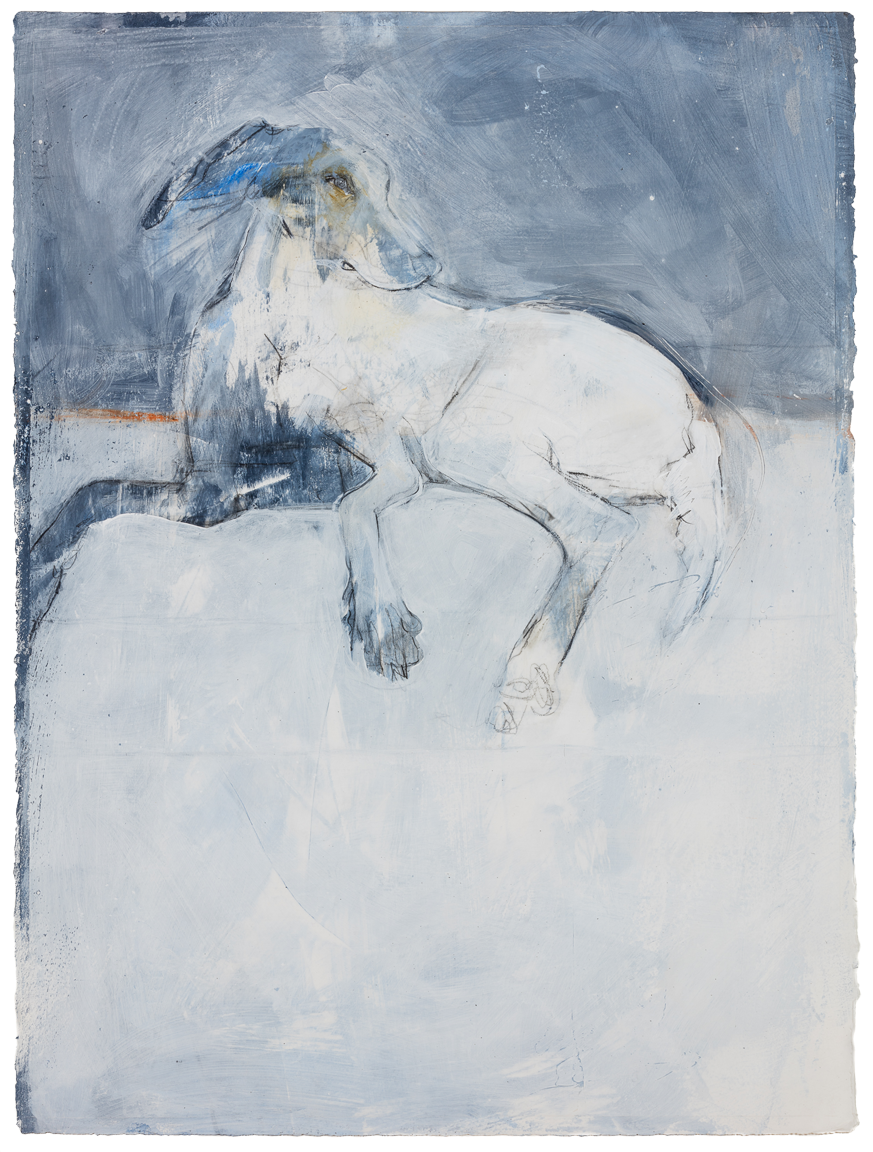 tica no. 2
