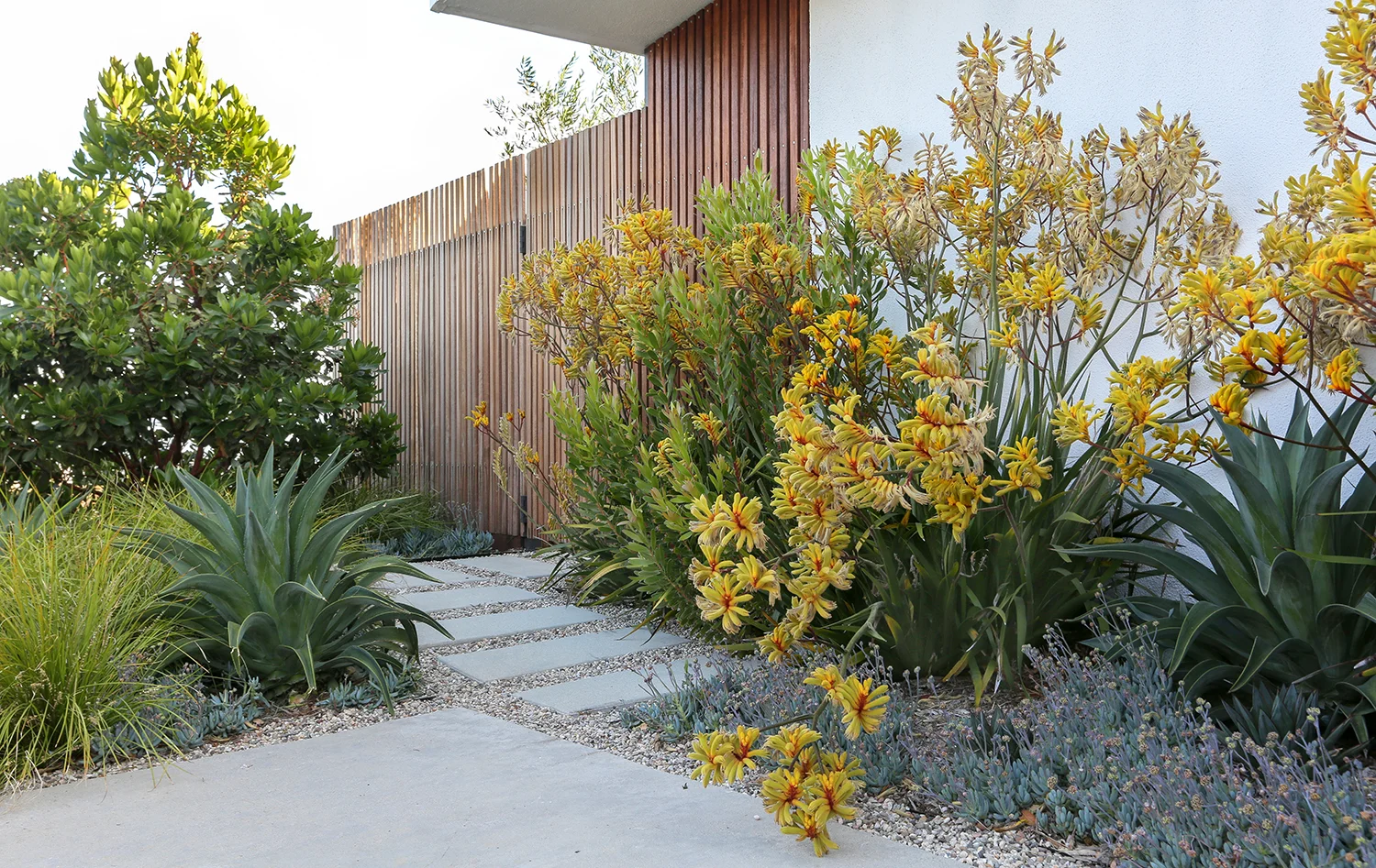 DEERVALE DRIVE_04.jpg
