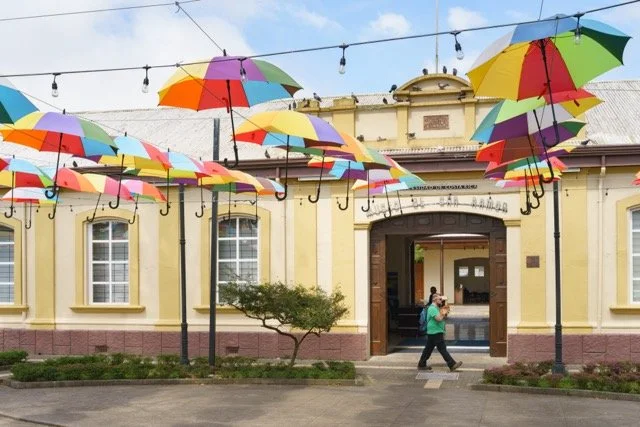 _DSC8035 Medium.jpeg