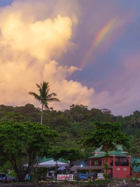 _DSC5467(1) Medium.jpeg