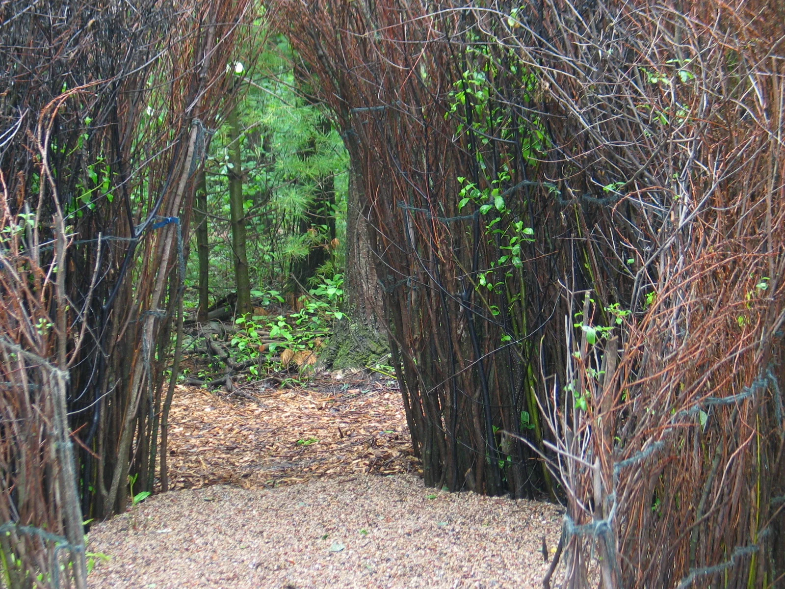 Blue Bower