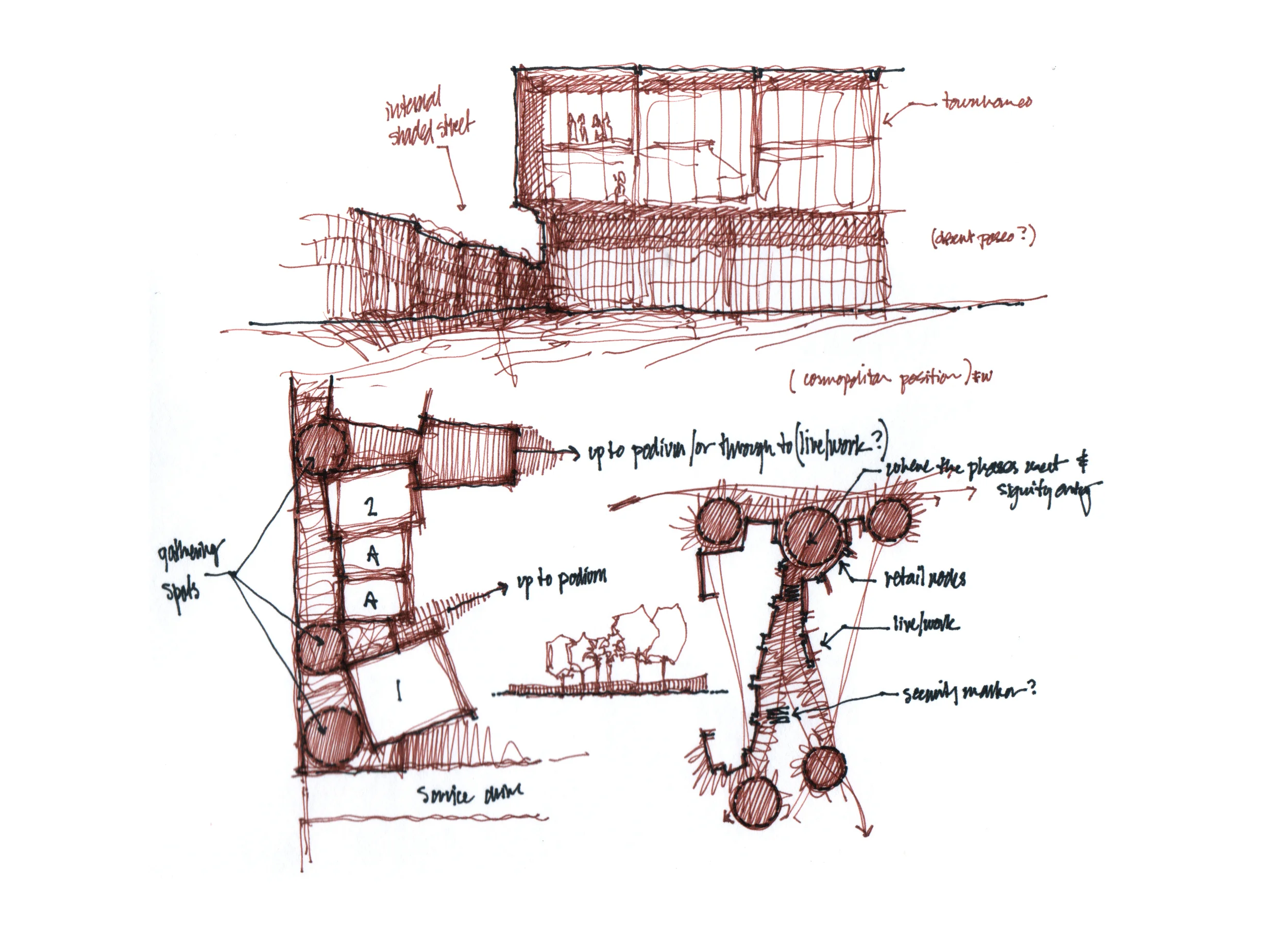 E_thomas_03.jpg