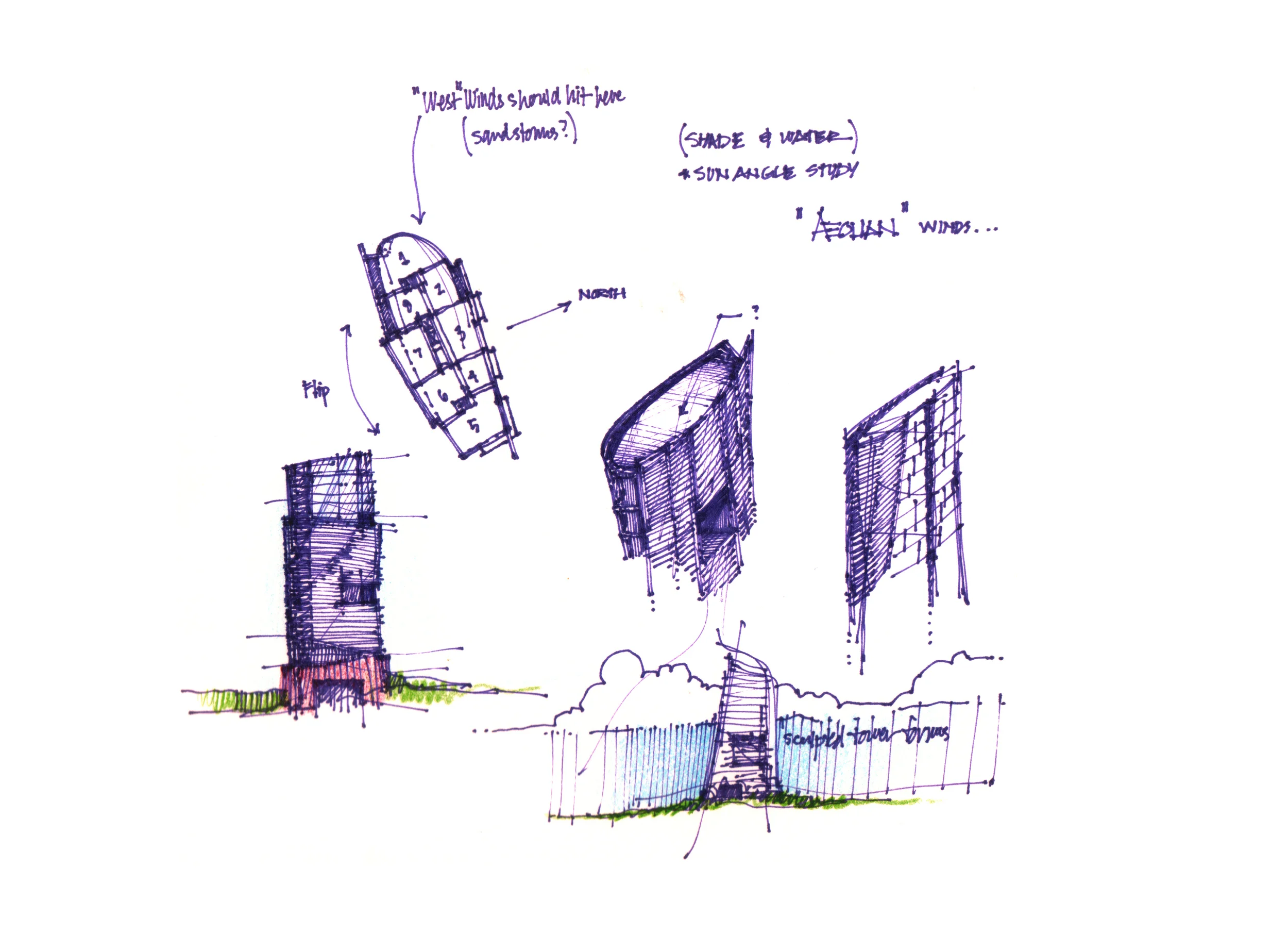 E_thomas_08.jpg