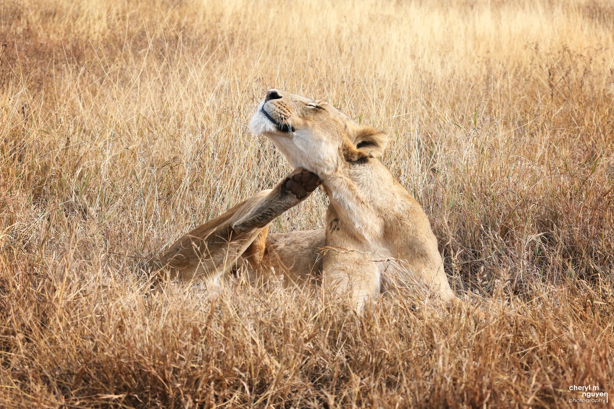 Stretch
