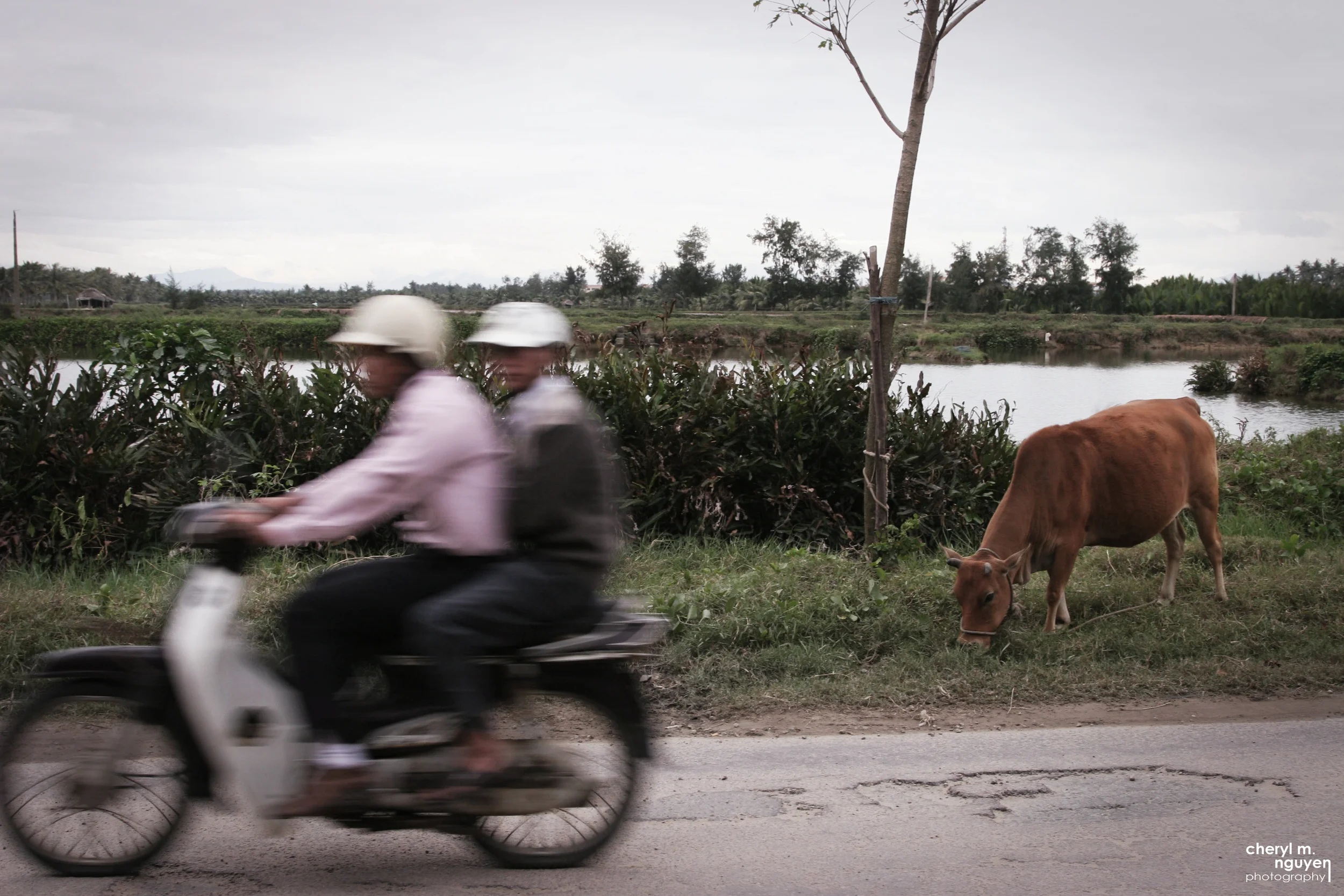 County ride