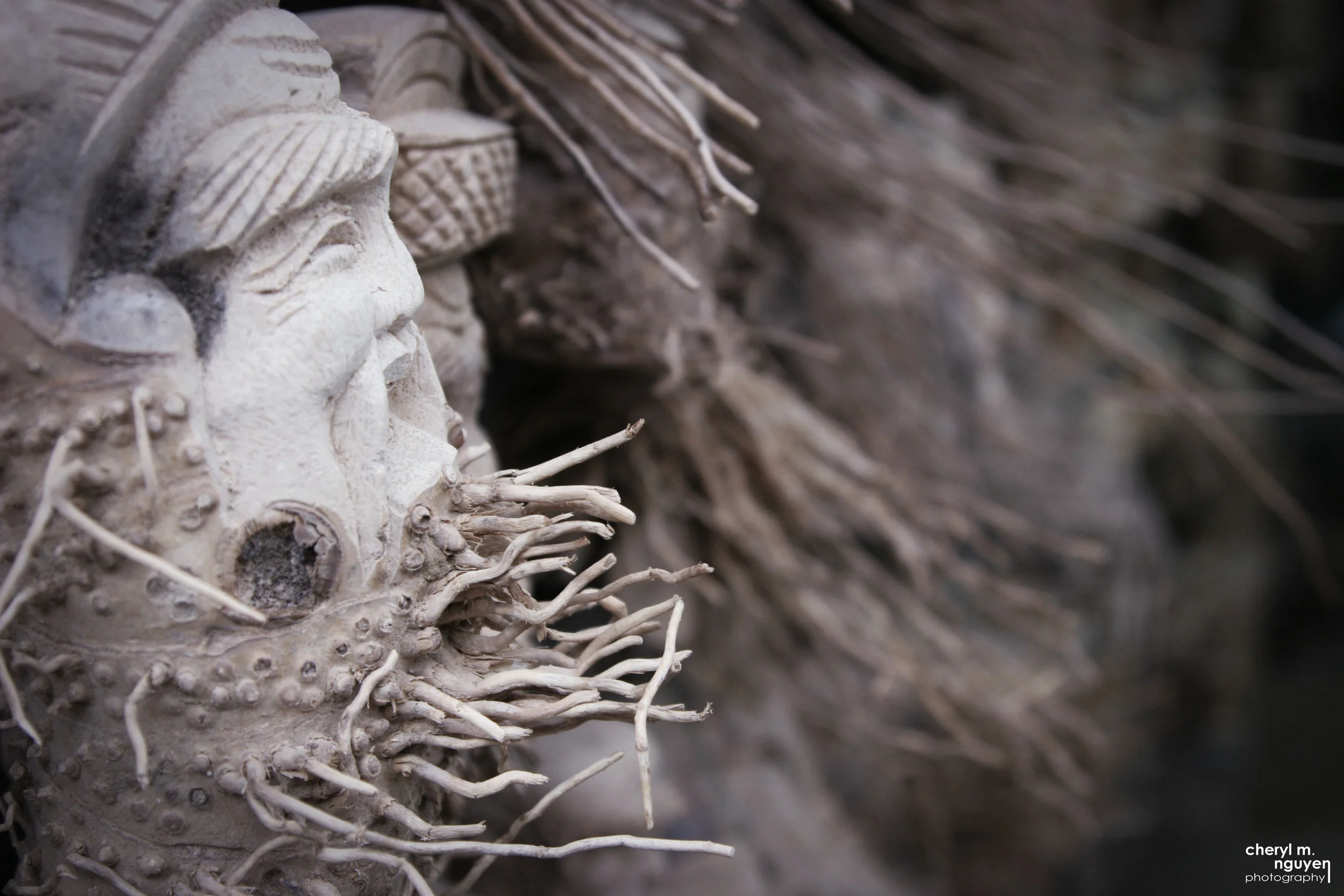 Carving