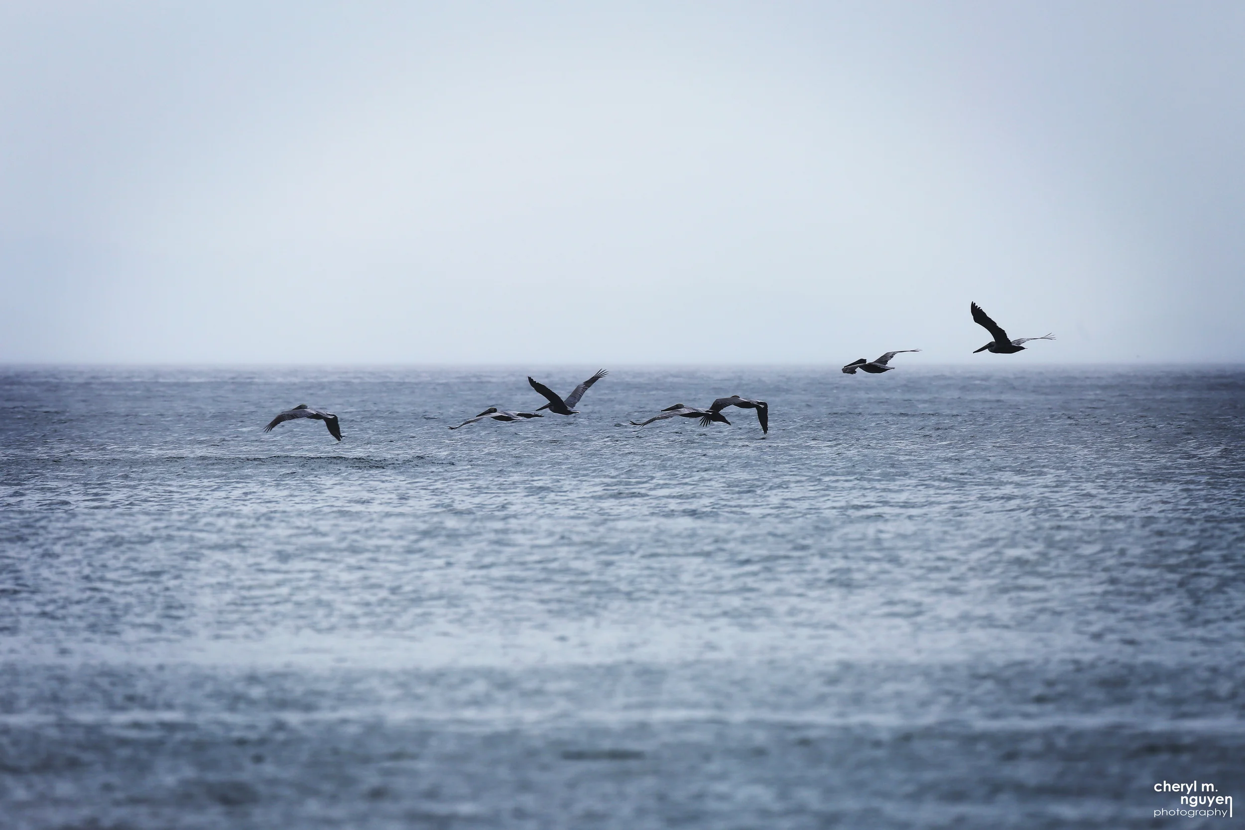 Above the Water