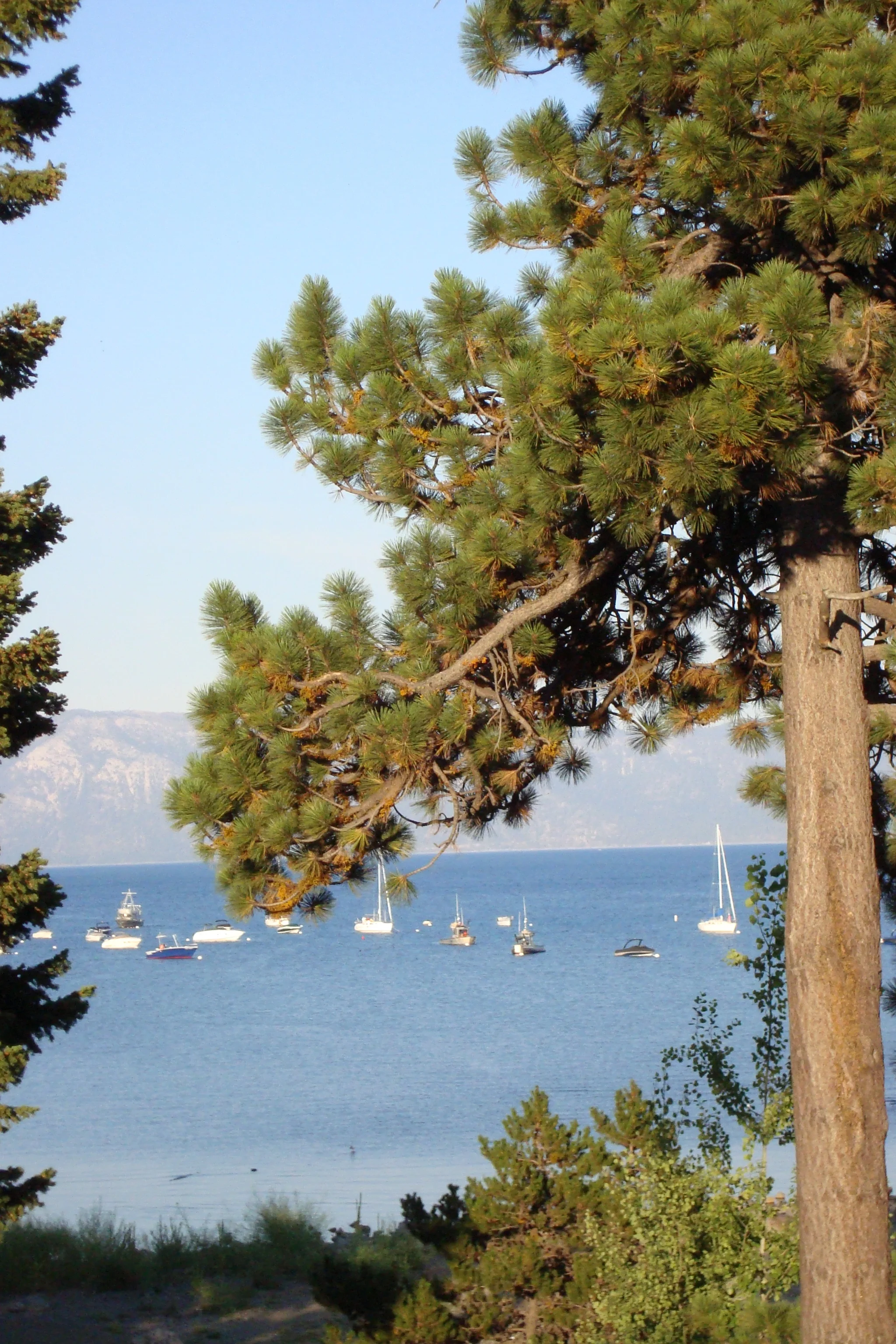Tahoe