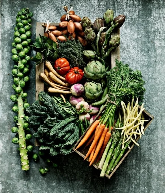 Nourish. Run. Yoga.