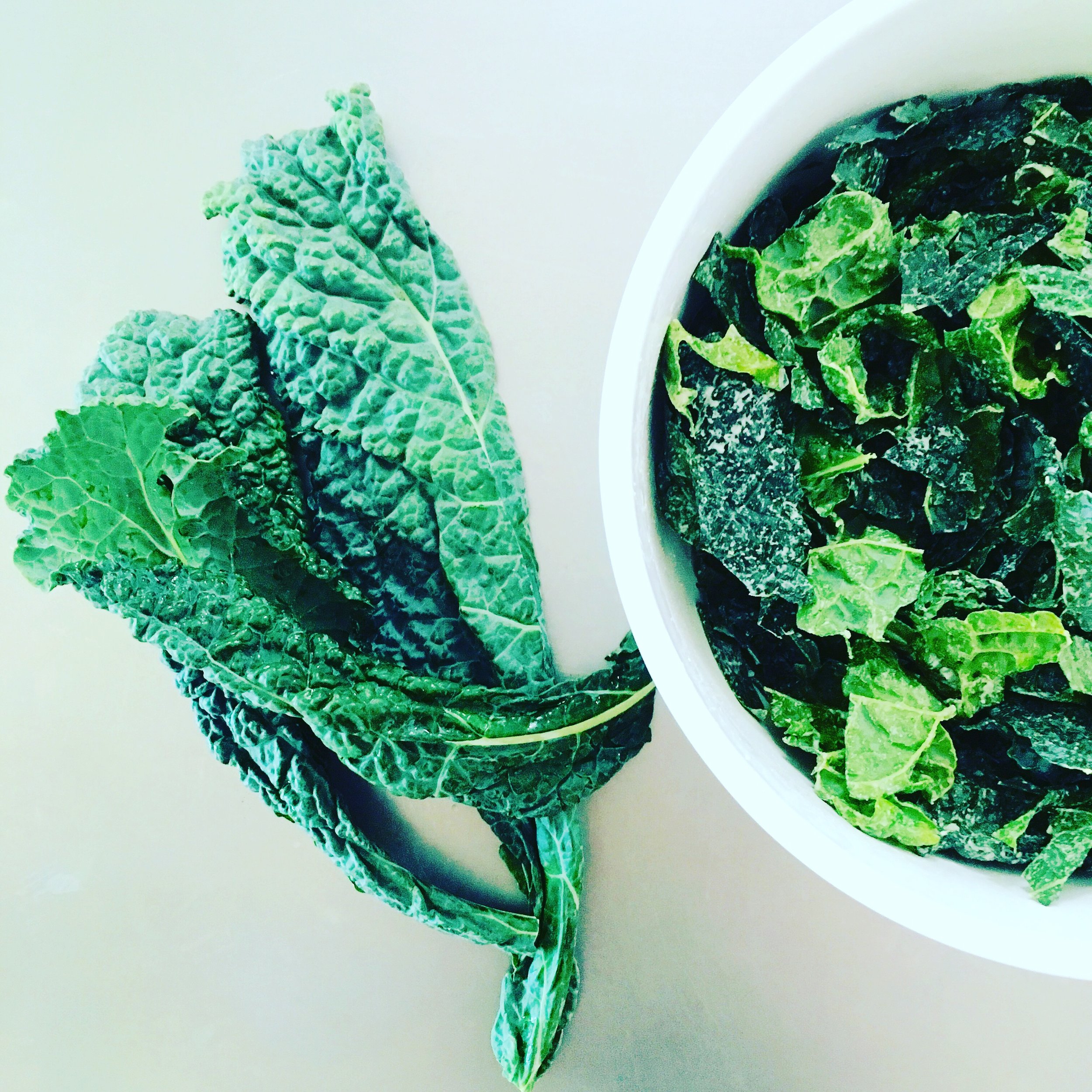 Plant-based Cooking Essentials
