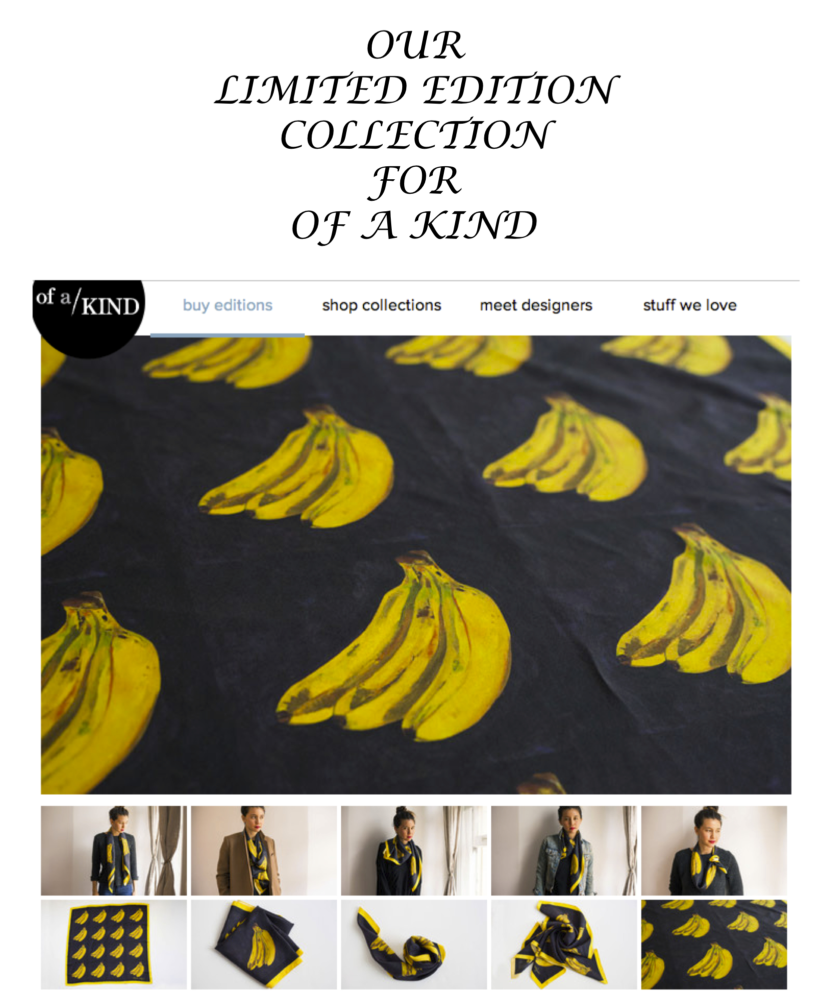 limited edition collection image for front of website with different type newest.jpg