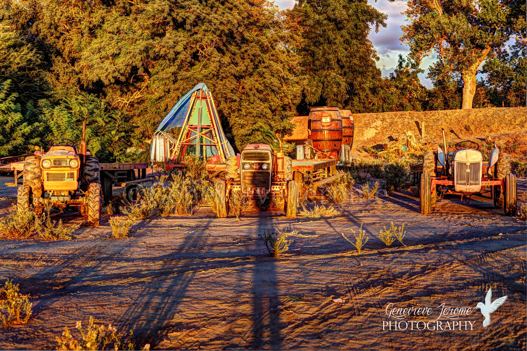©GJPHOTO13Carnival Sunset.jpg