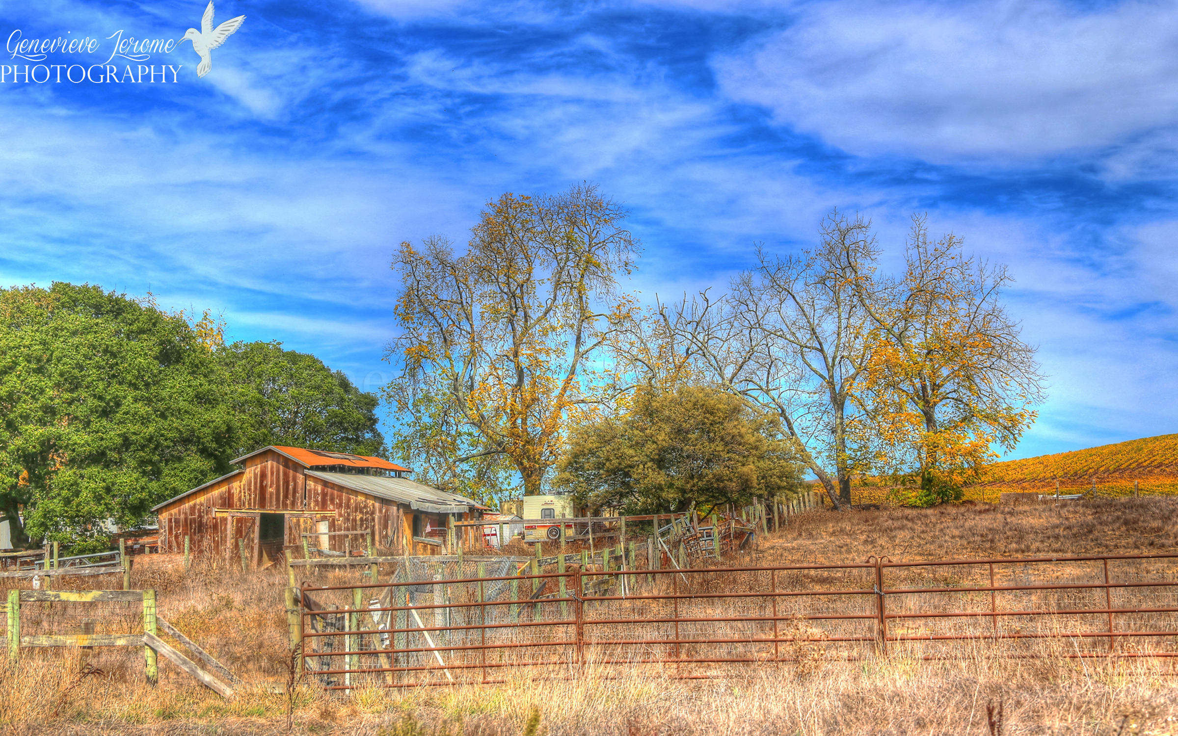 BodegaBayHDR1FB.jpg