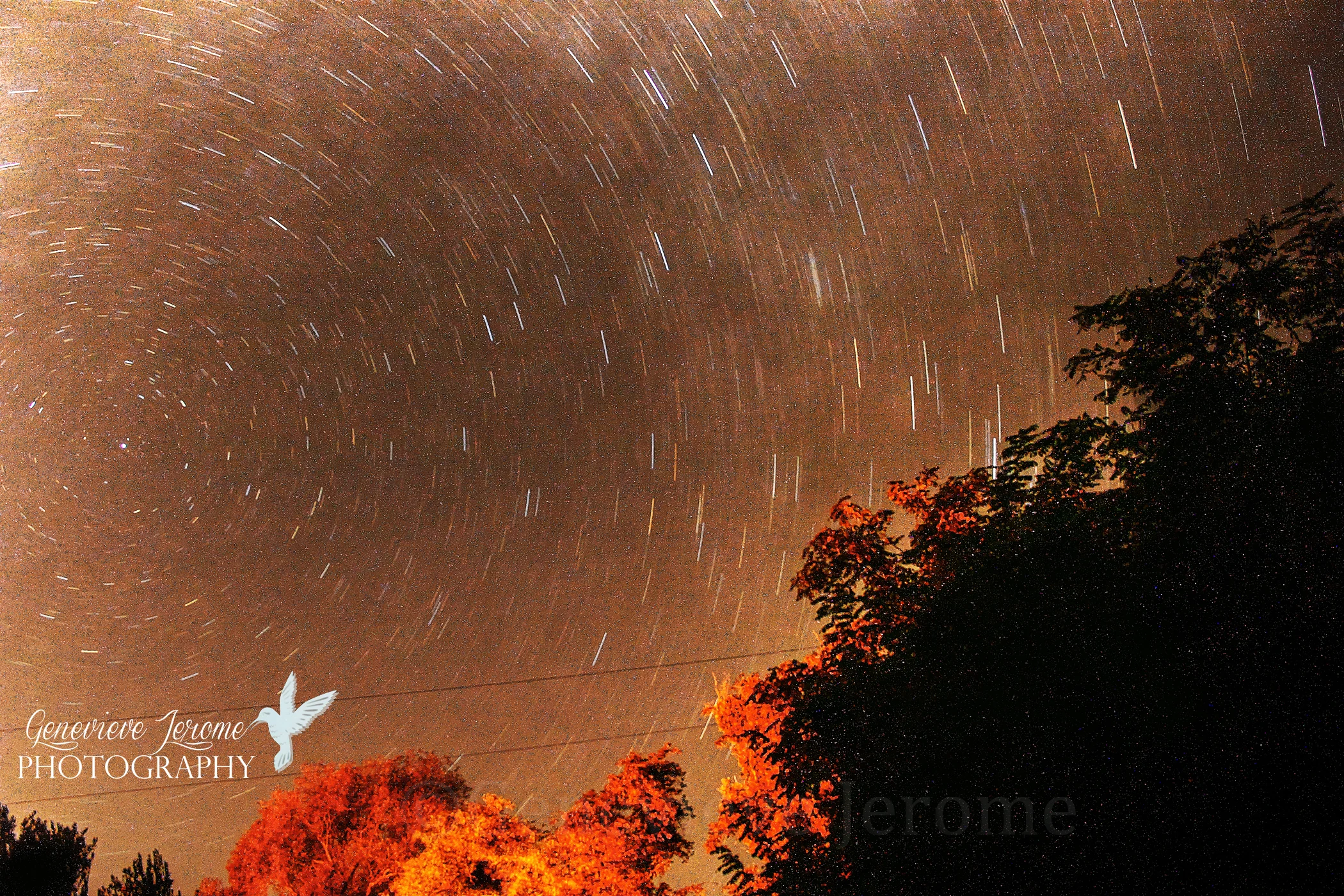 StarTrailsSept131FB.jpg