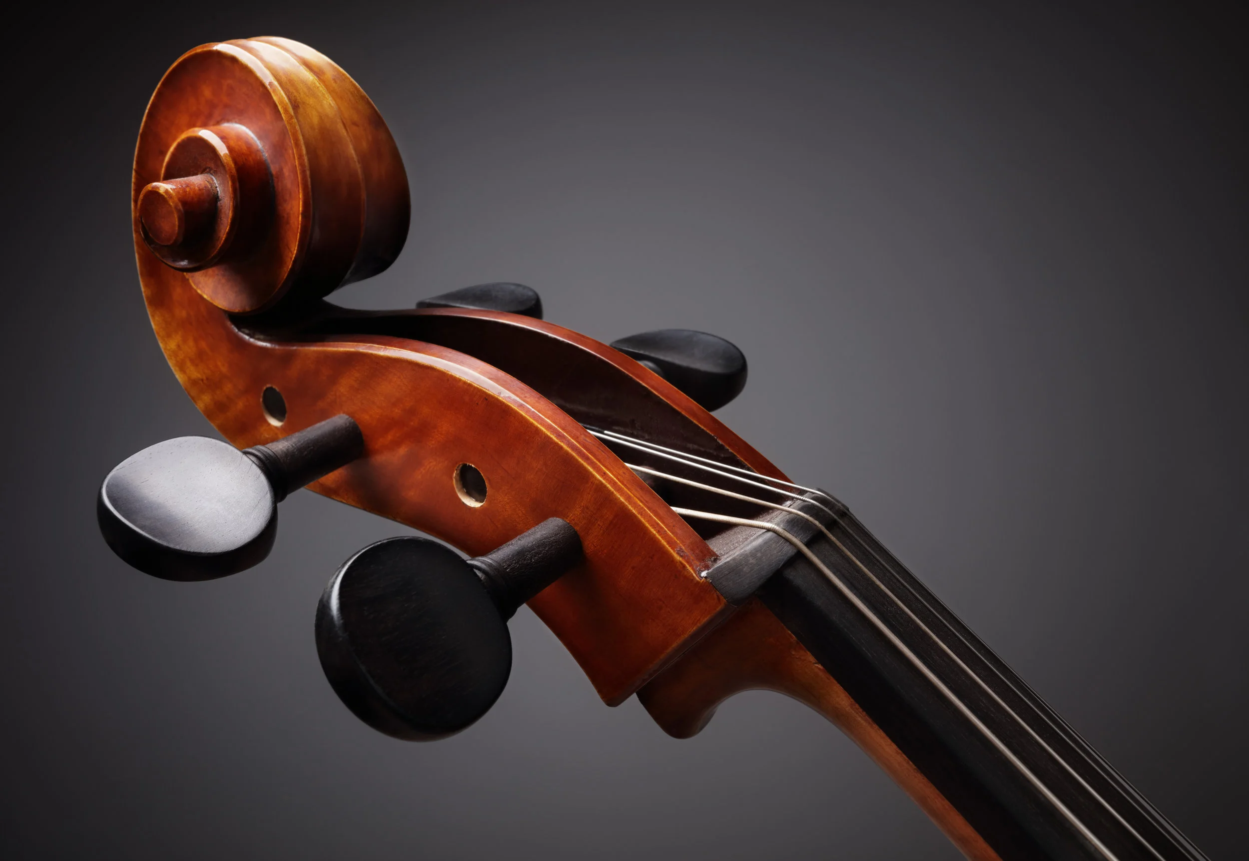 Cello-scroll-000085151471_XXXLarge.jpg