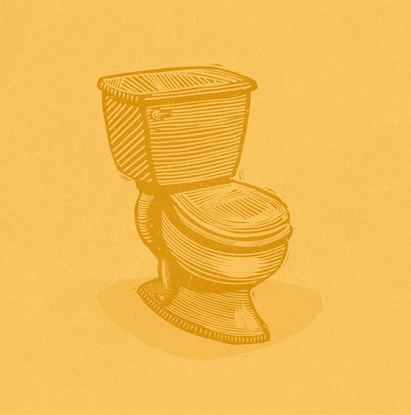 Golden Toilet.jpeg