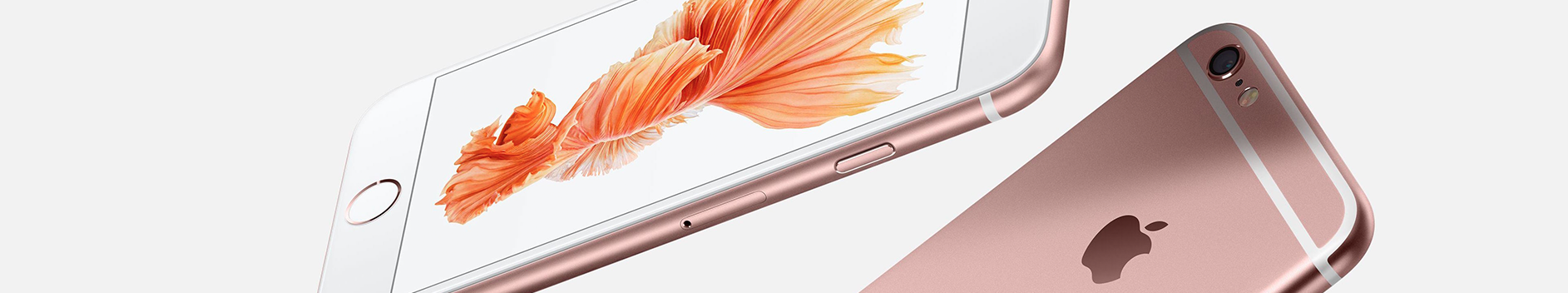 APPLE-WIDE.png