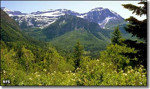 Mount Timpanogos Hike