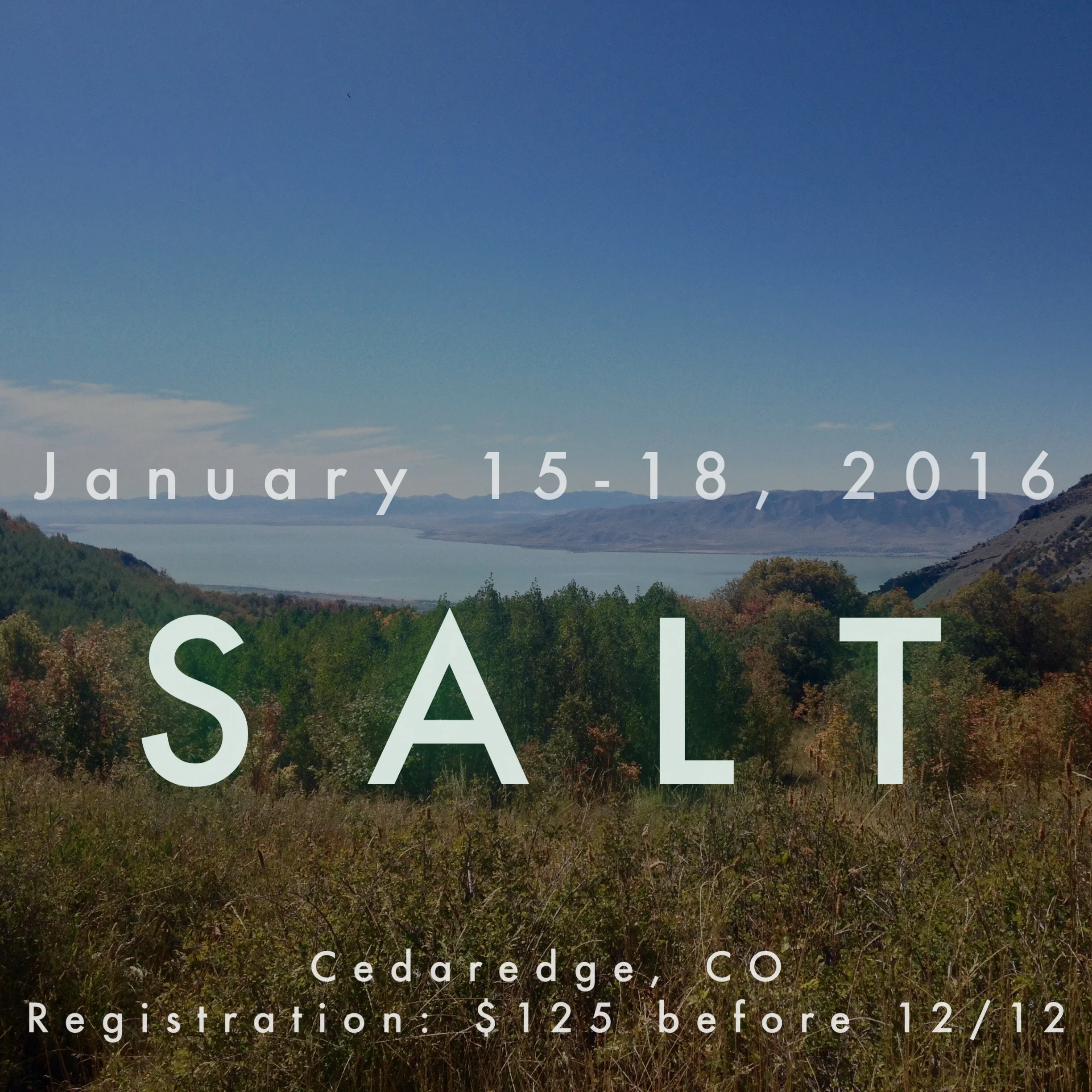 SALT (1/15-18/16)