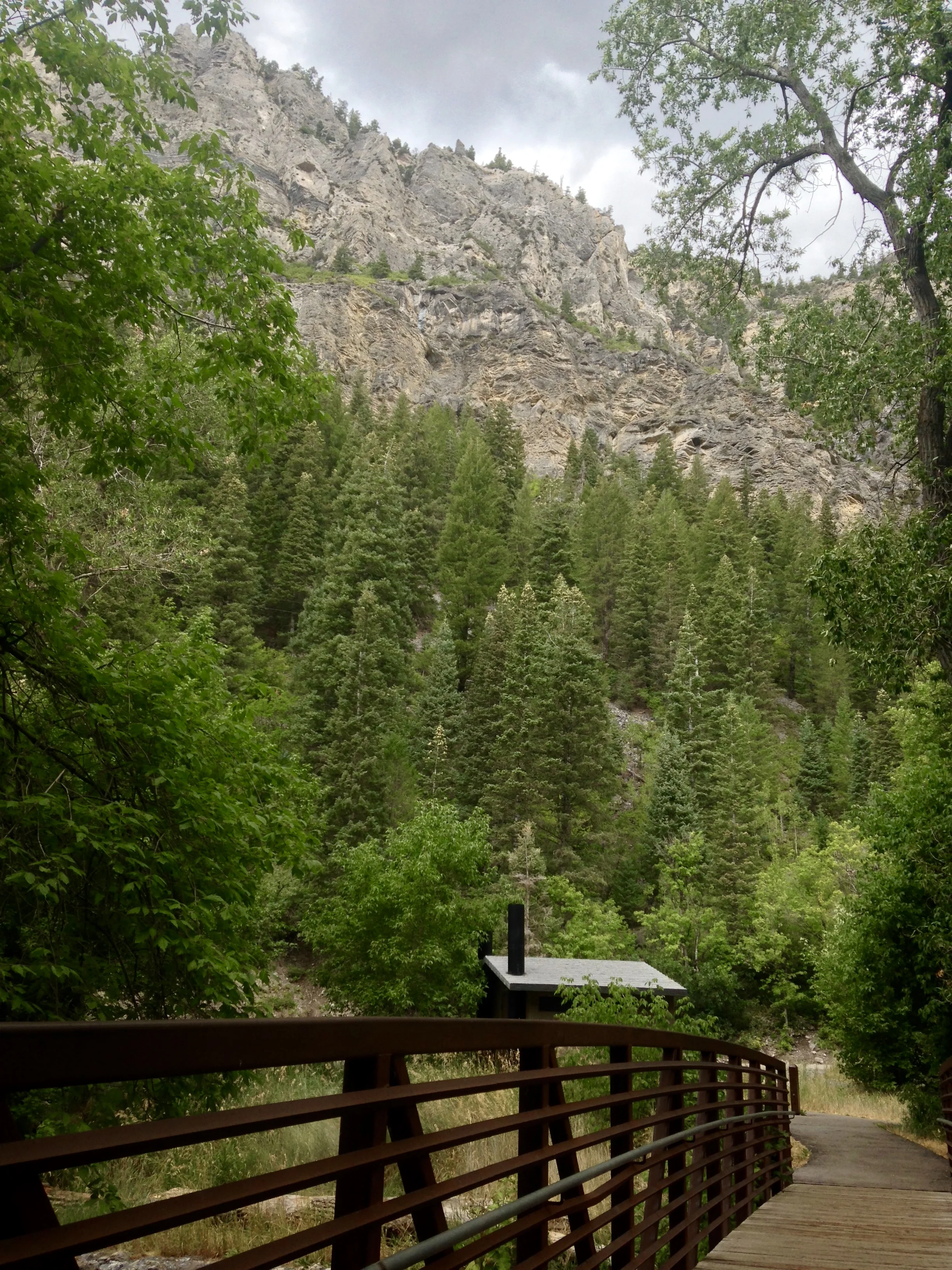 Spring Break Teams are coming!