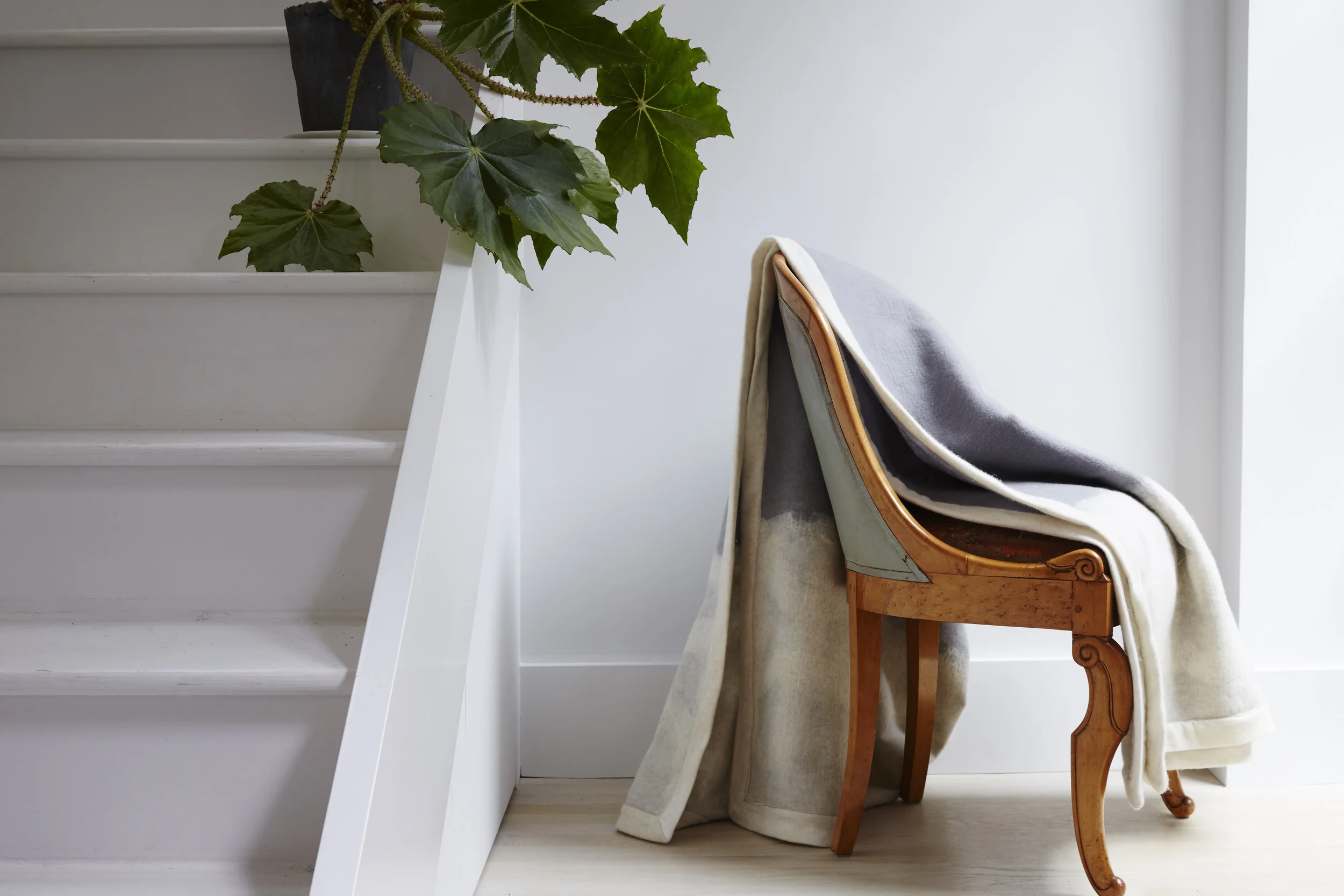Cashmere & Cormo Wool Throw