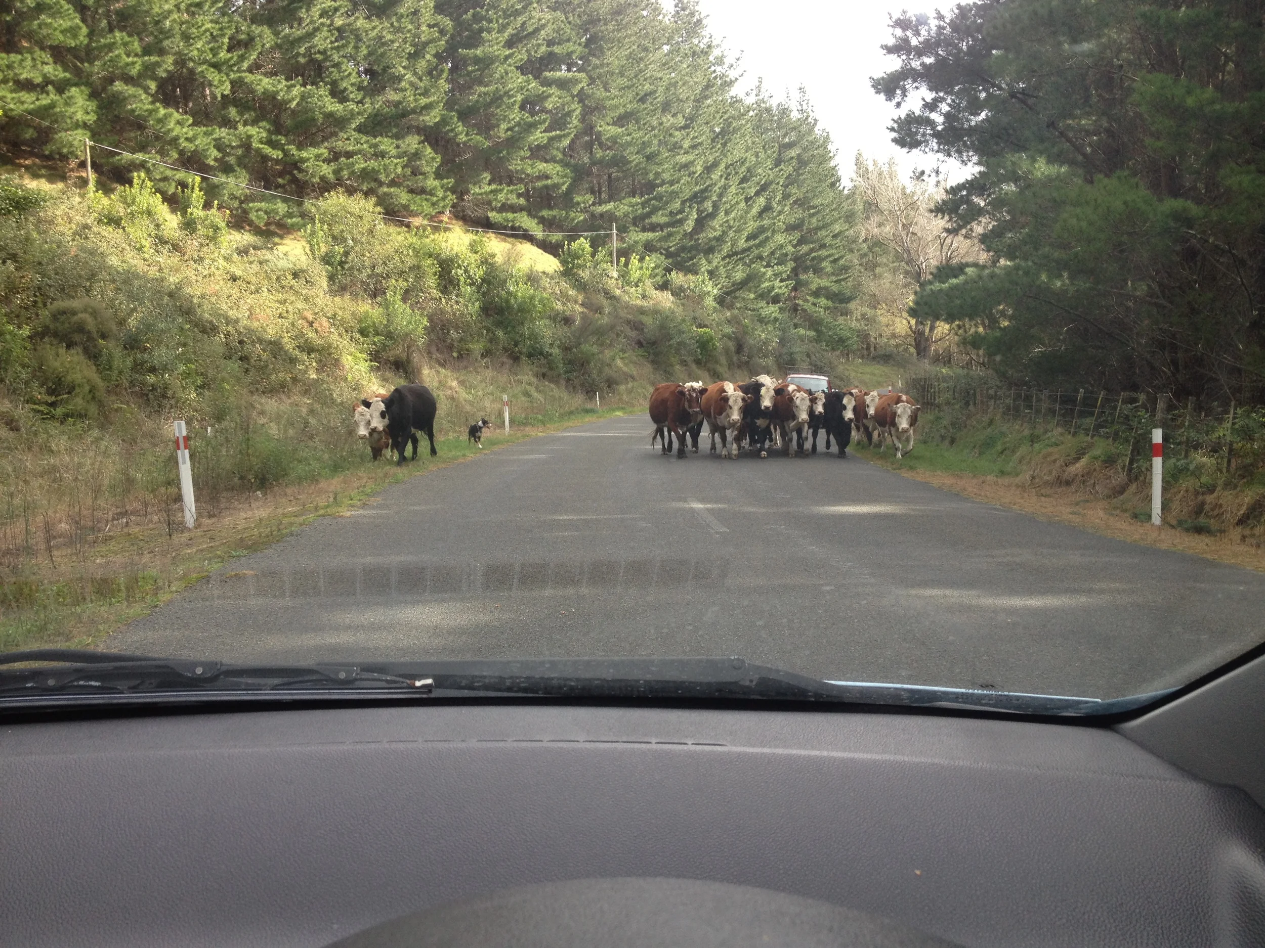 Traffic Jam