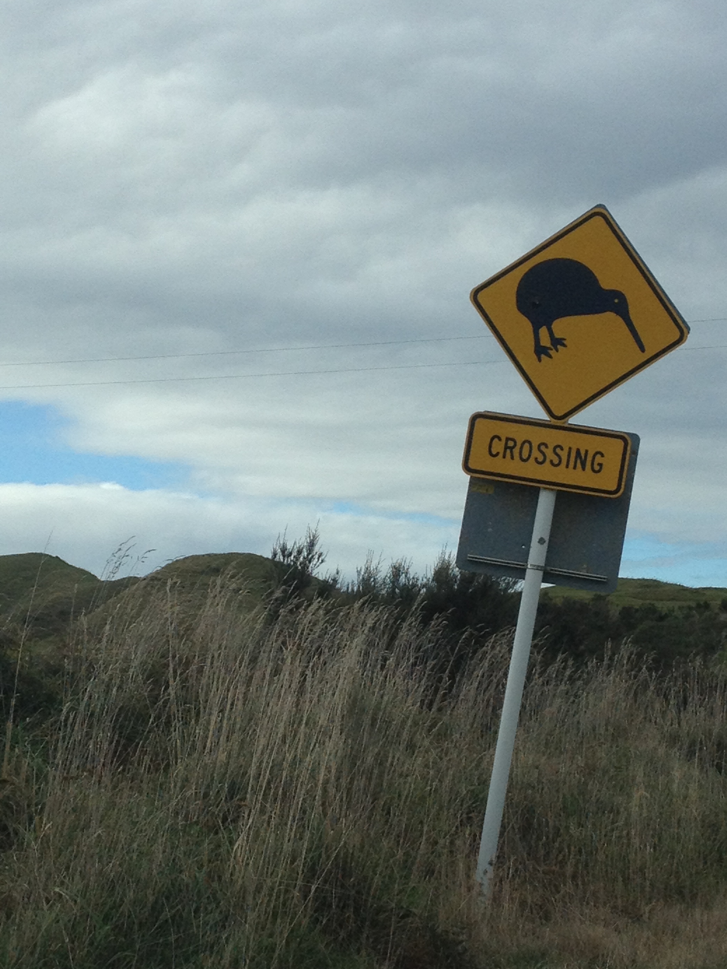 Kiwi Crossing