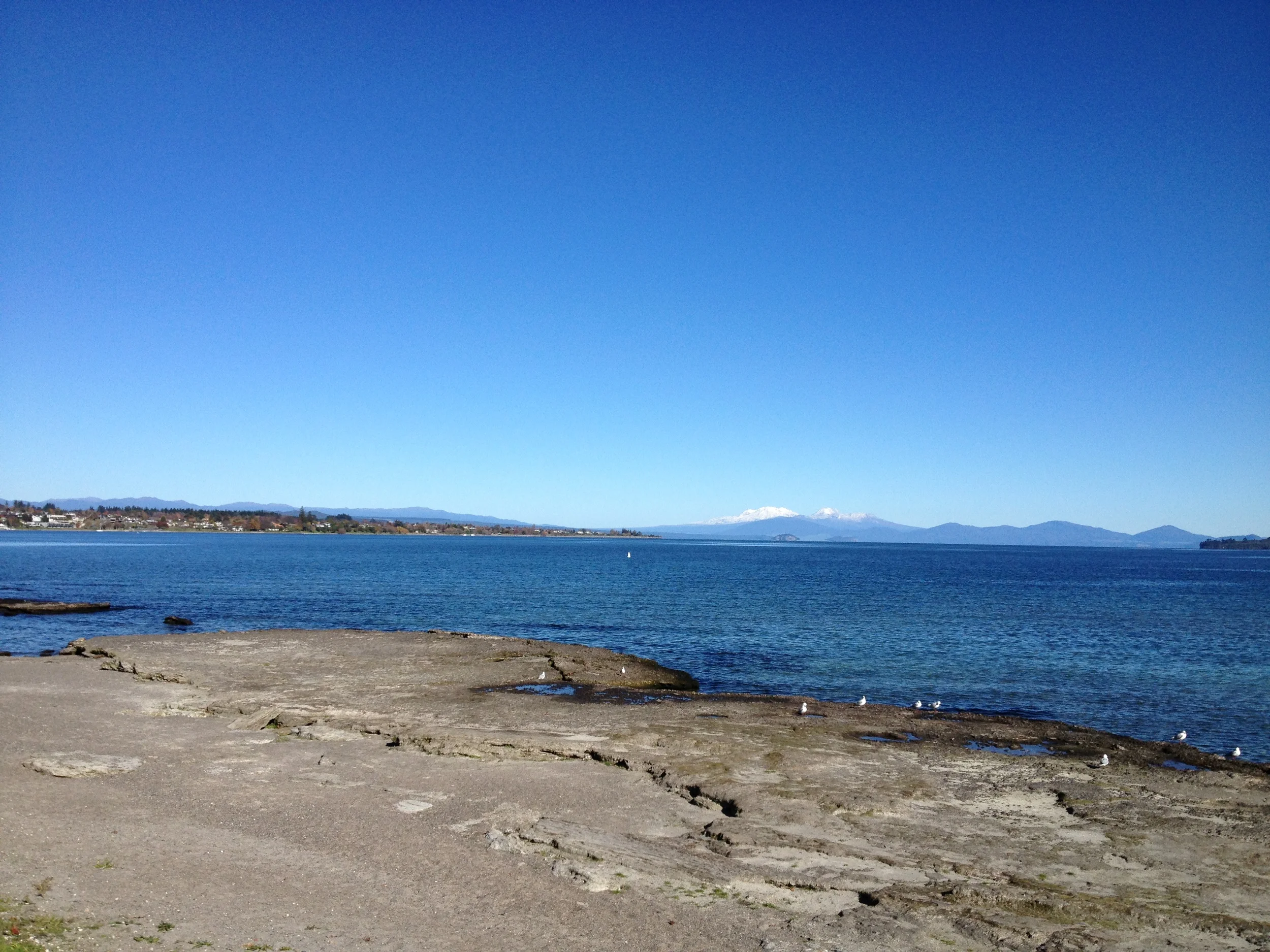 Lake Taupo