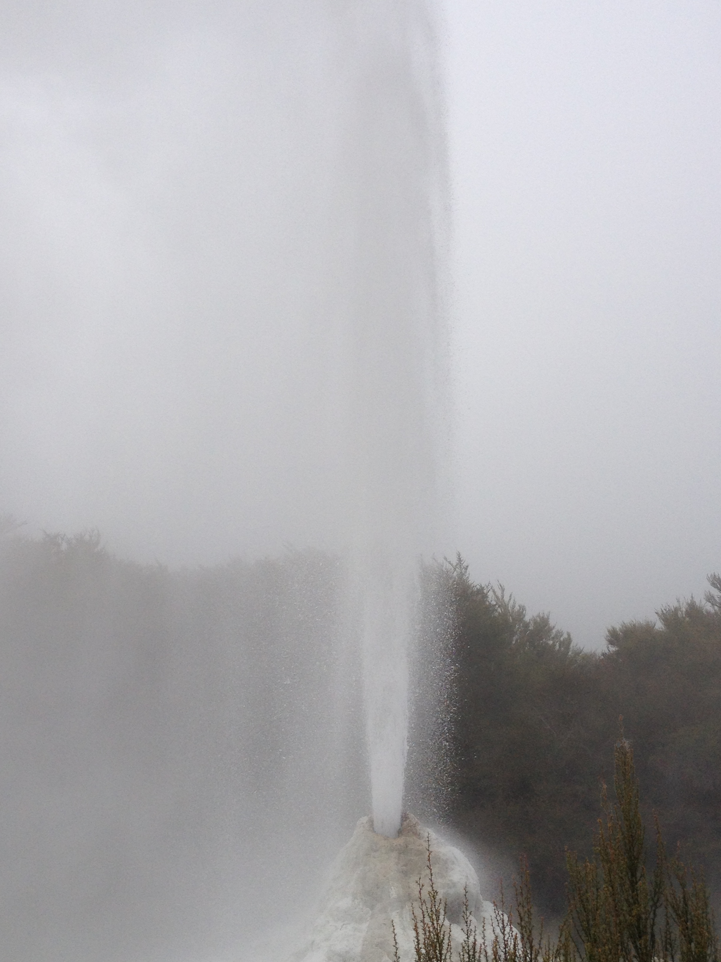 Lady Knox Geyser