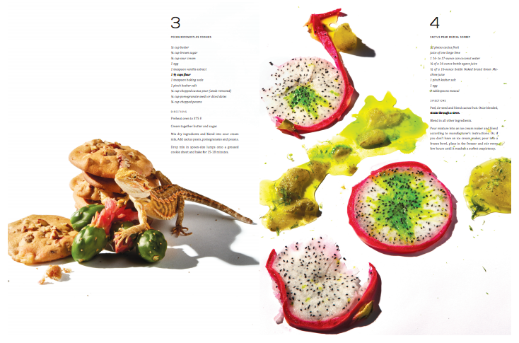 Chris Earl foodstyle