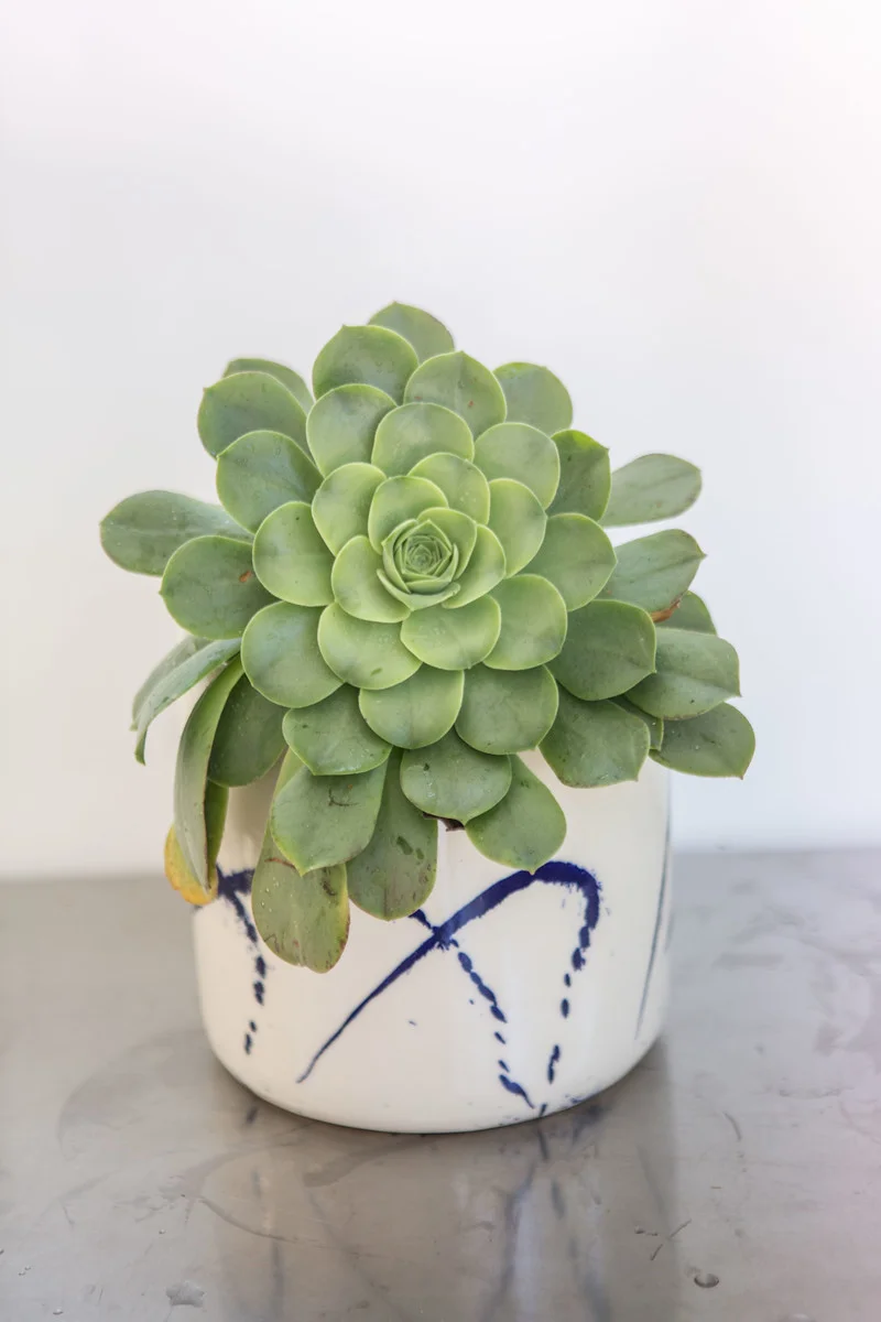 Indigo Cylinder Planter.jpg