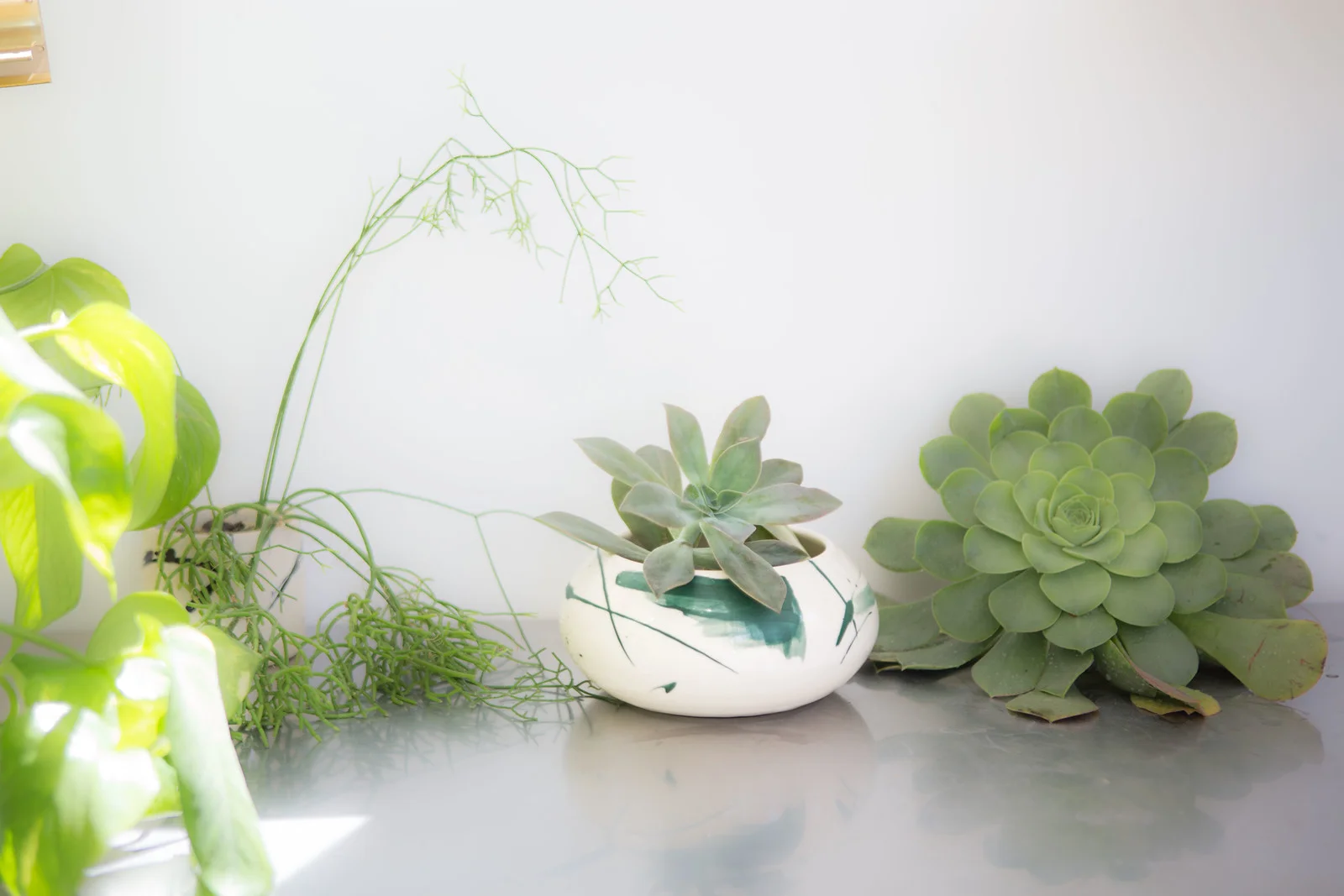 Deep Green Globe Planter.jpg