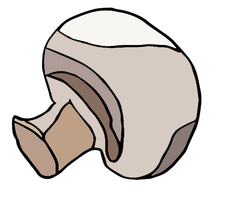 mushroom icon.png