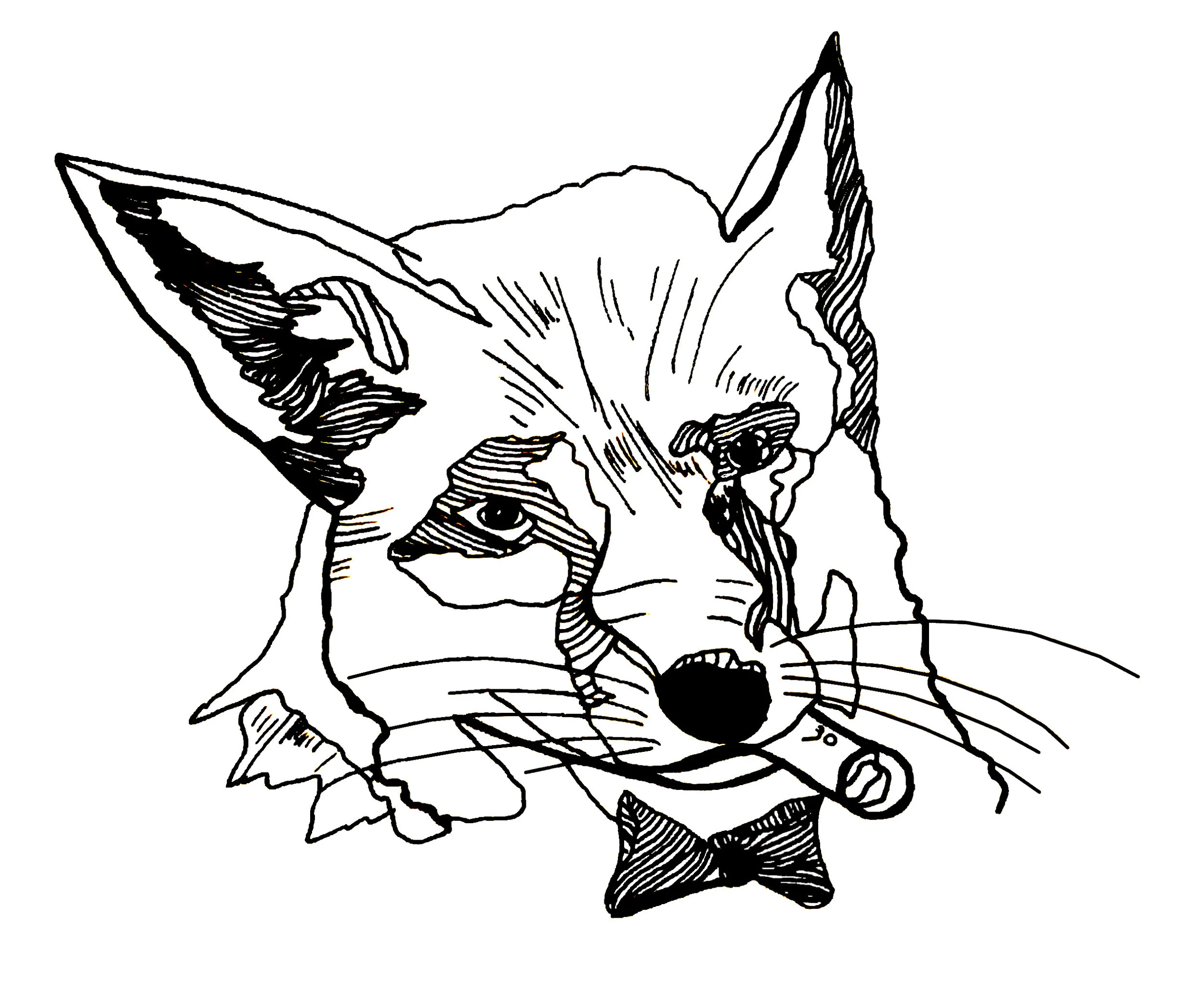 Fox graphic.jpg