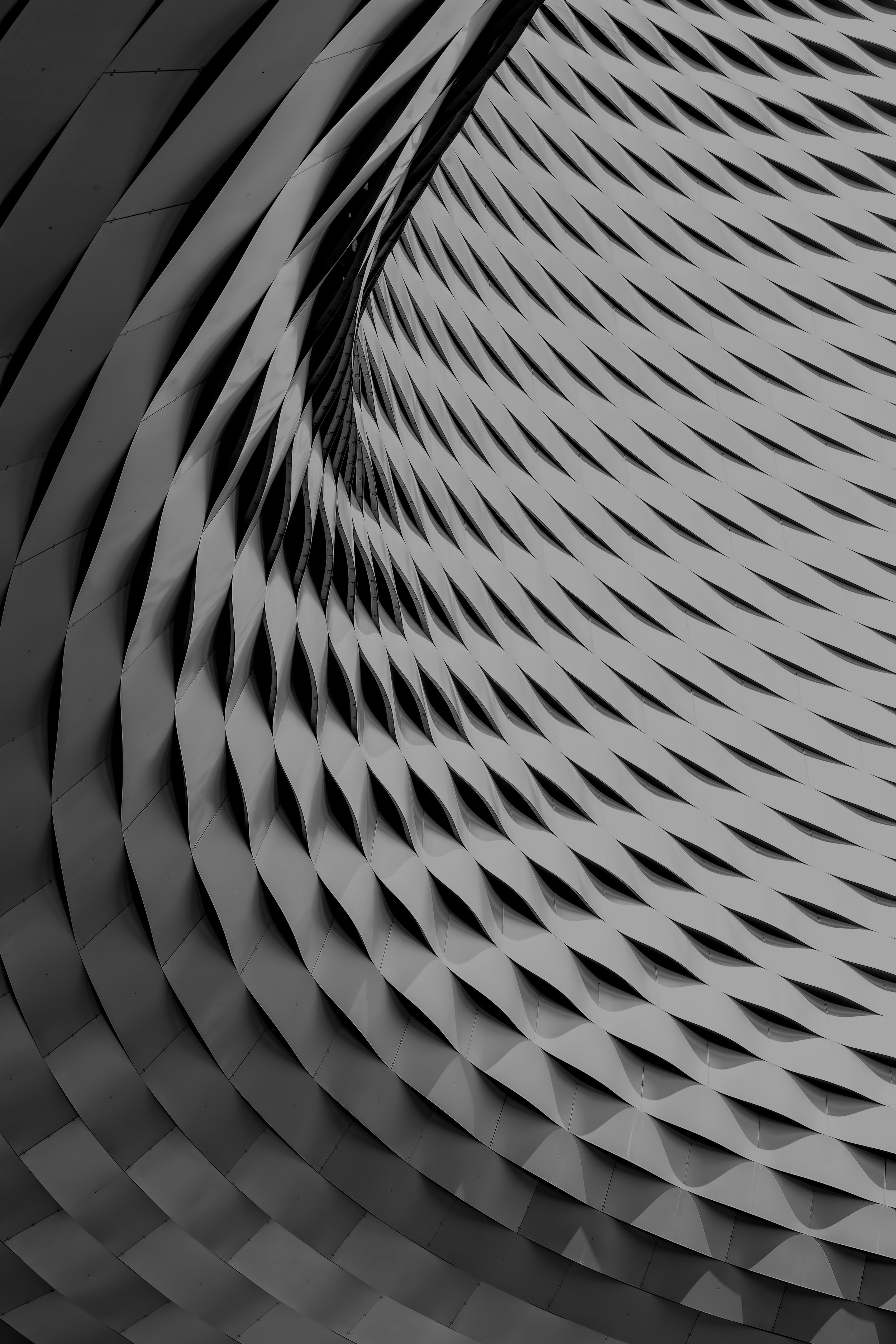 CreativePulse_Divider.jpg