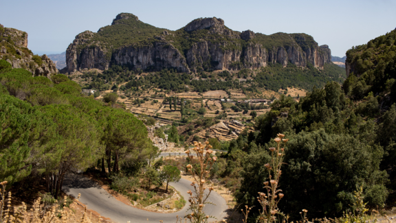 Why Sardinians Are Living Longer Than You