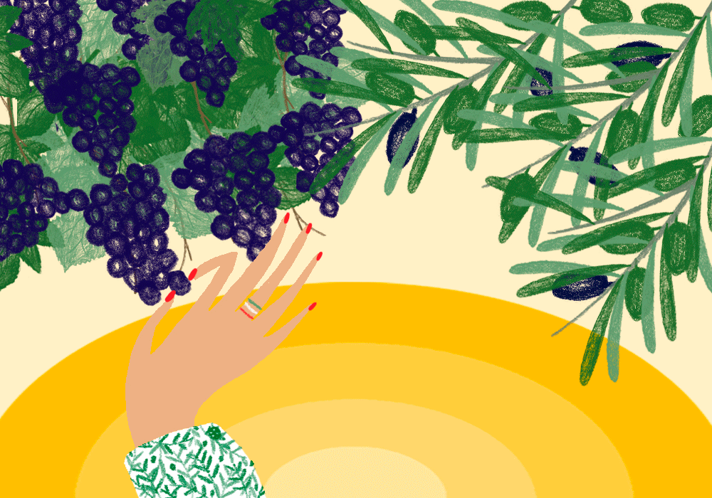 Grapes in September, Olives in November