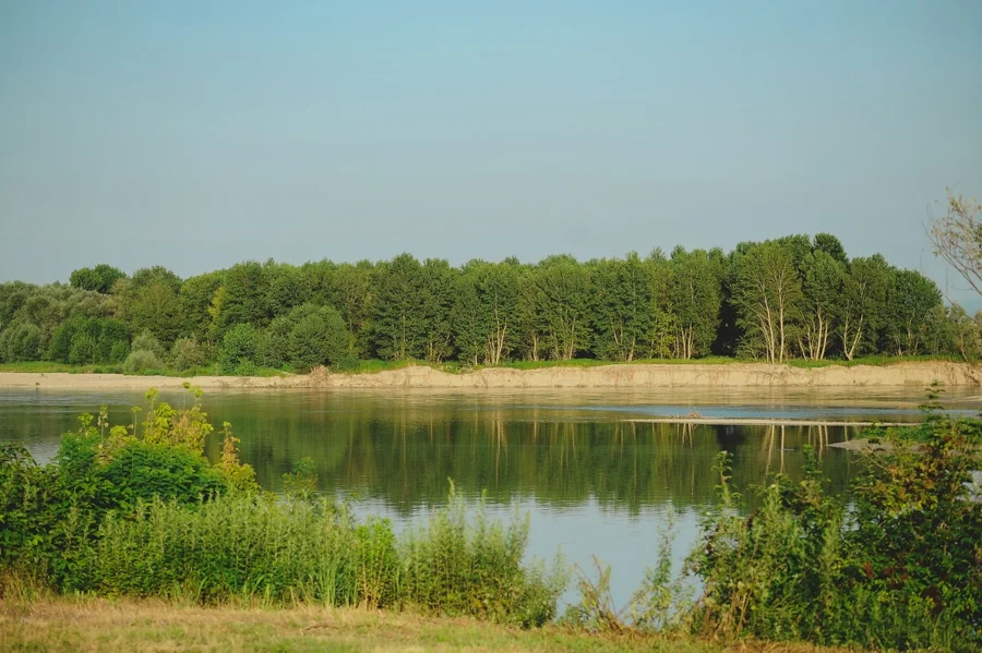 web_0278.jpg