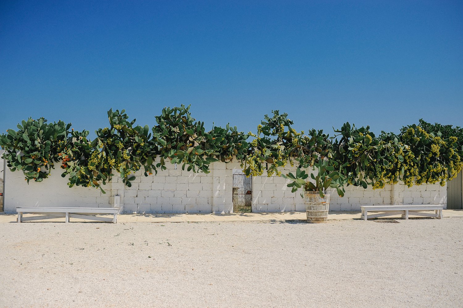apulian-wedding-masseria-potenti_0062.jpg