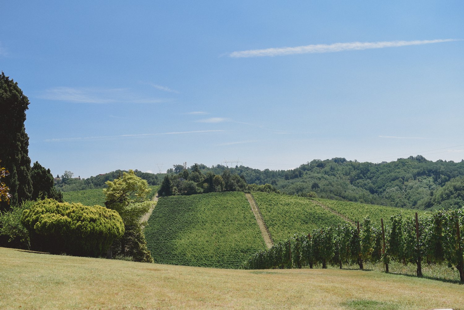 matrimonio_villa_sparina_0083.jpg