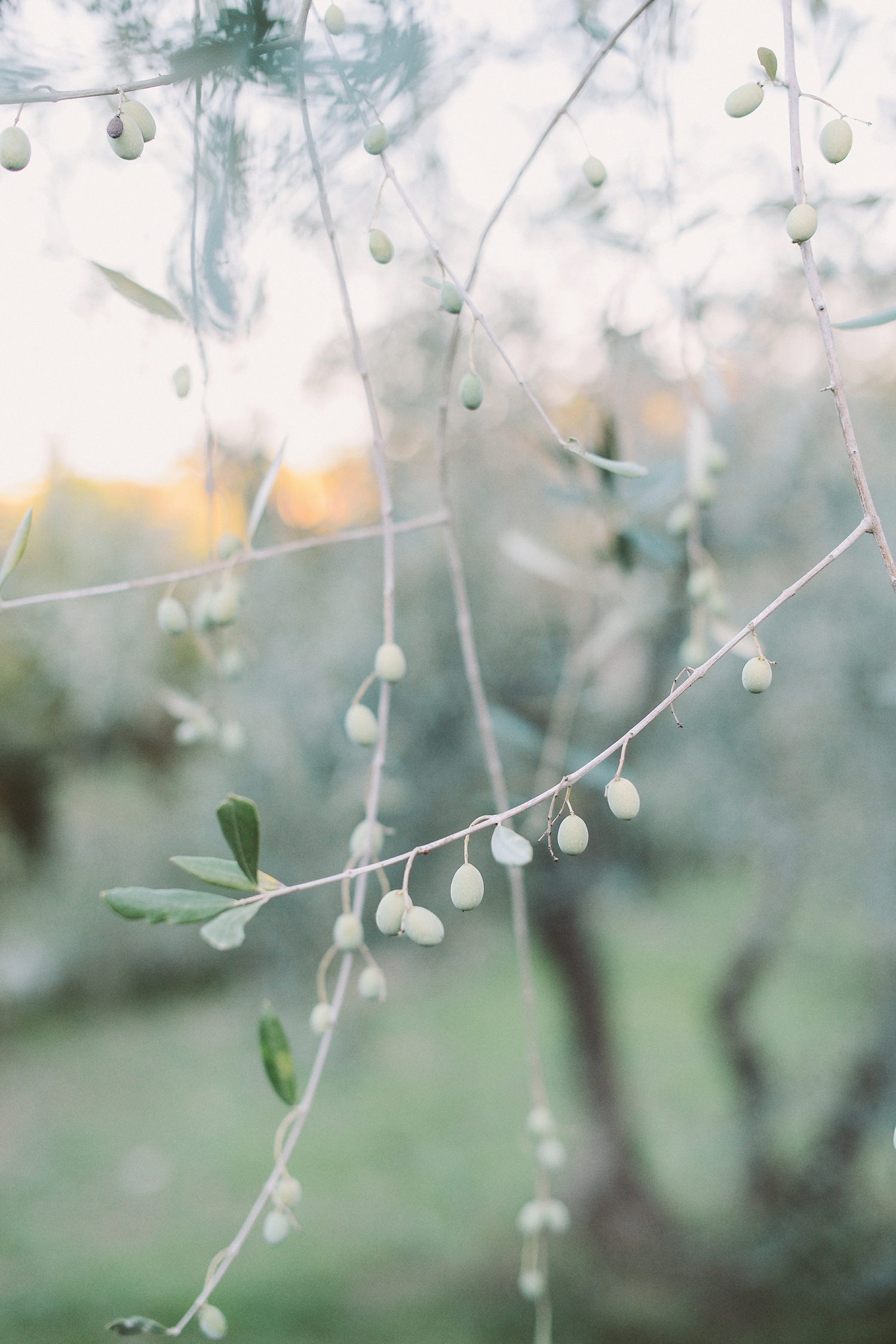 wedding-photographer-florence-fourseason-tuscany_1362.jpg