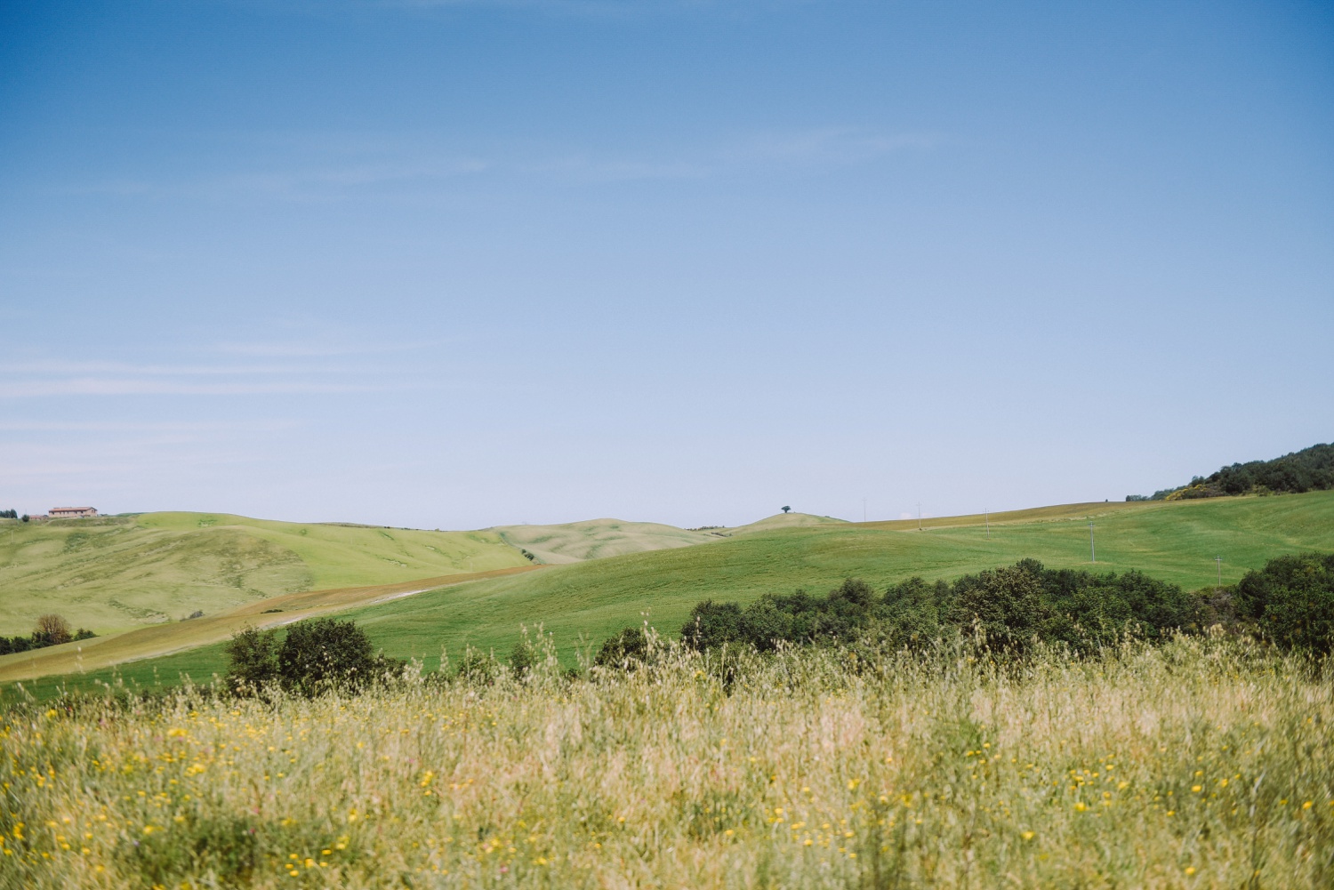 landvphotography_wedding_photographer_tuscany_0019.jpg