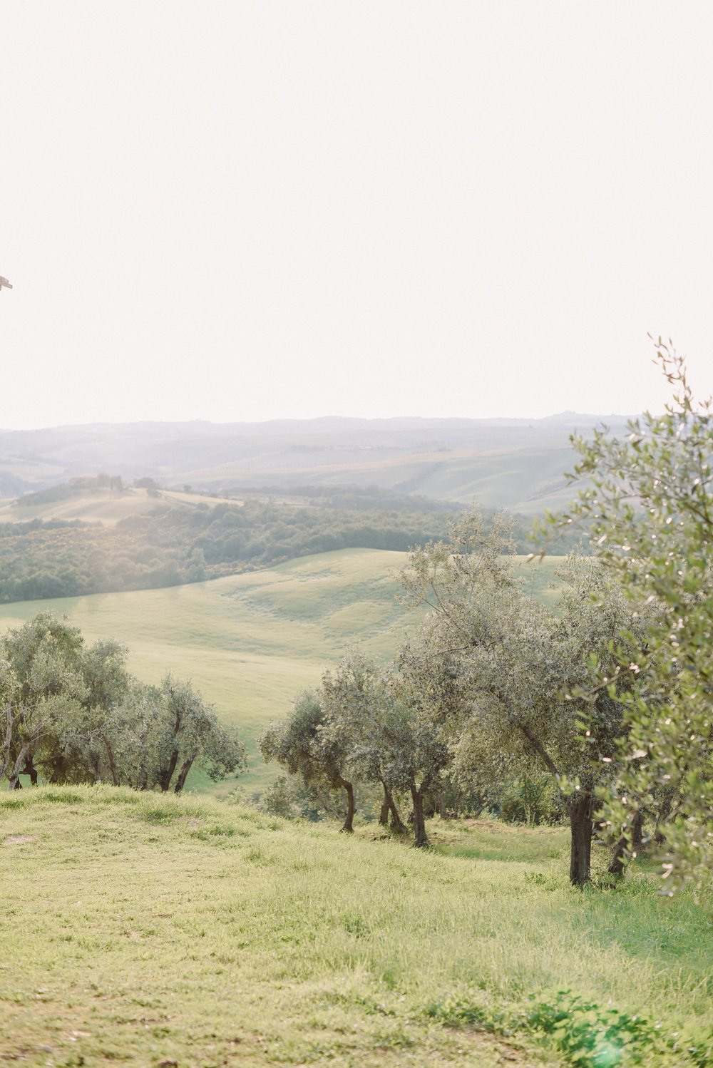 landvphotography_wedding_photographer_tuscany_0091.jpg